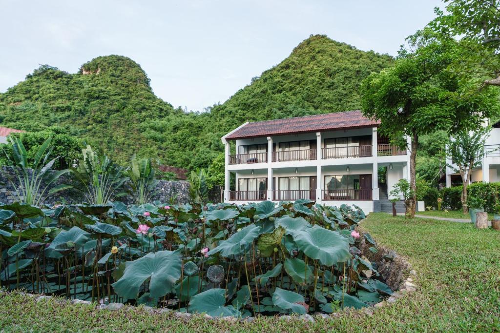 /files/images/AravindaResortNinhBinh/aravinda-resort-Ninh-Binh-11.jpg