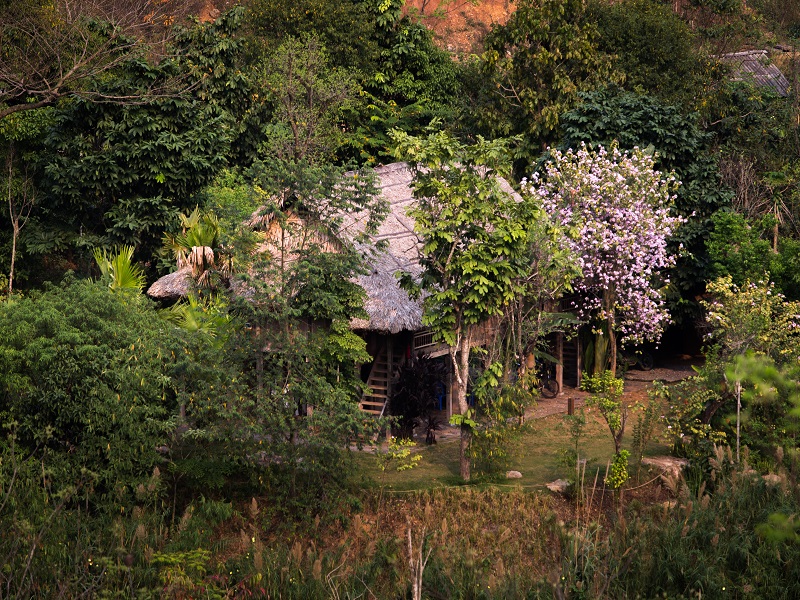 Bảo tàng nhà sàn Avana