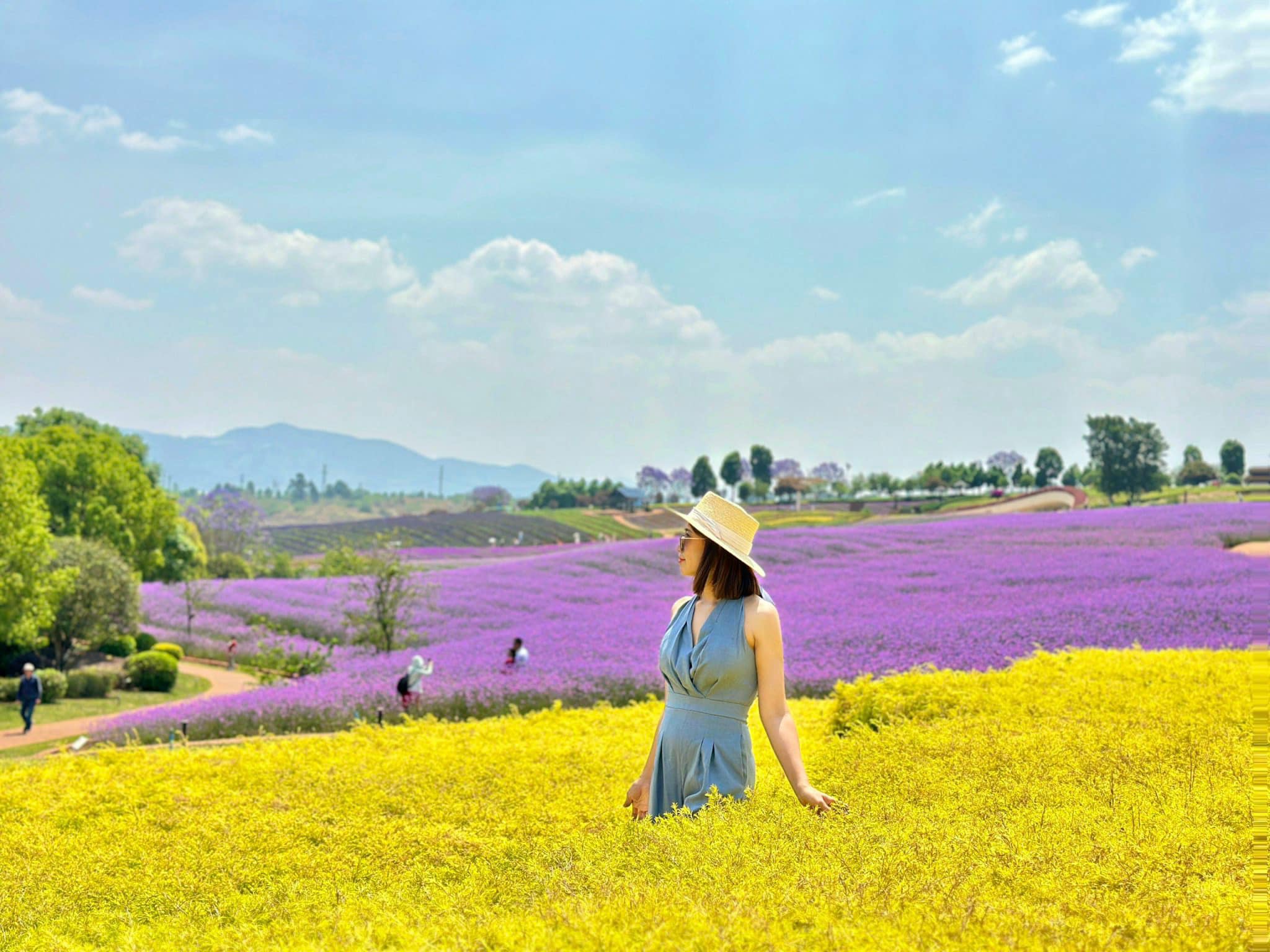 Tour Trung Quốc giá rẻ
