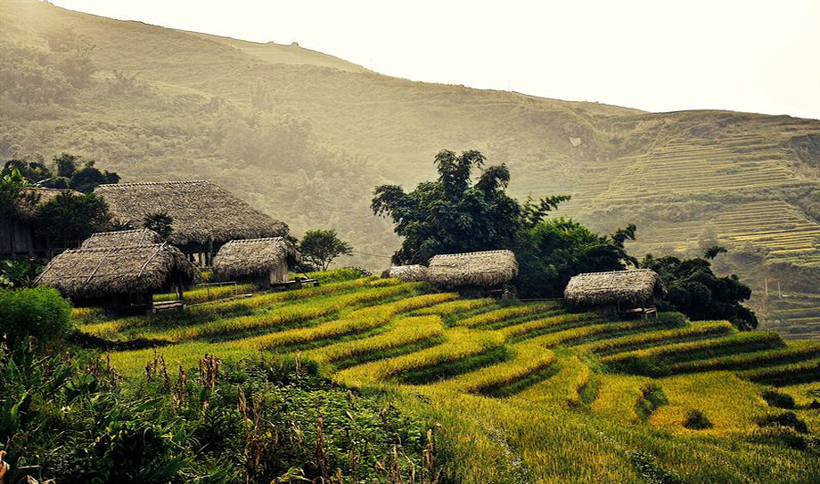 Du lịch Sapa mùa lúa chín