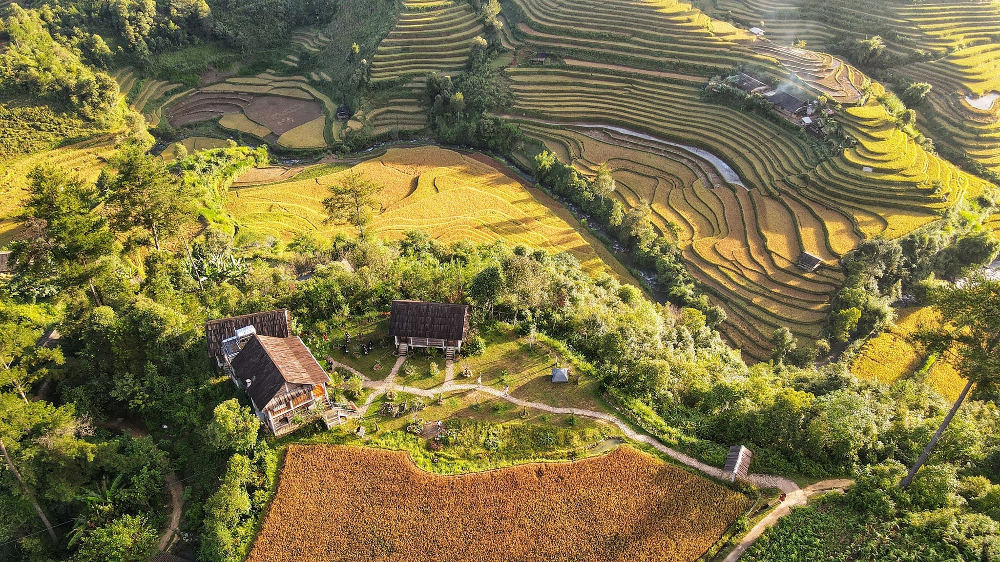 Lapantan Paradise Mù Cang Chải 01