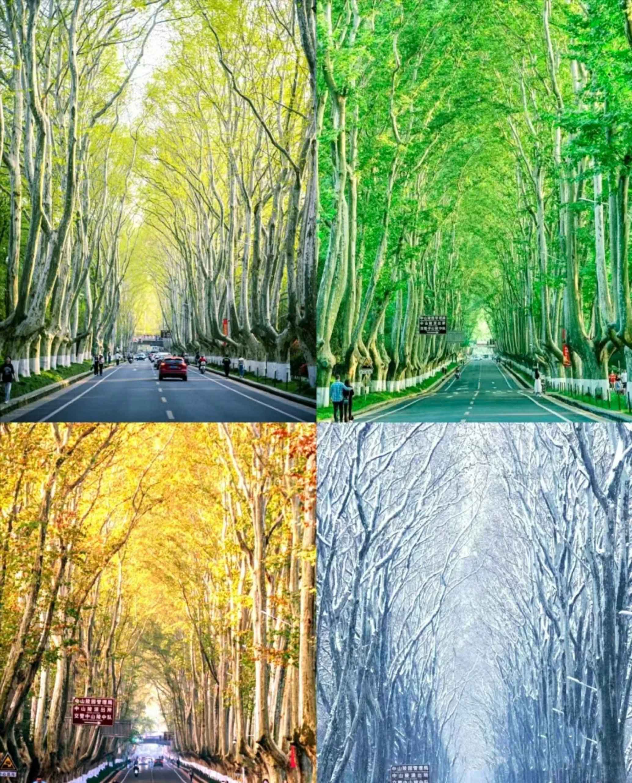 Du lịch Nam Kinh, Trung Quốc