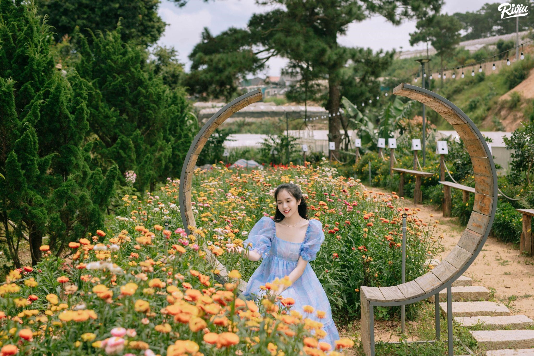 Phoenix Garden Da lAt vuon hoa