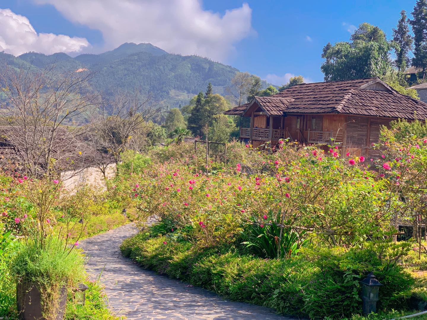 Rose Farmstay Sapa