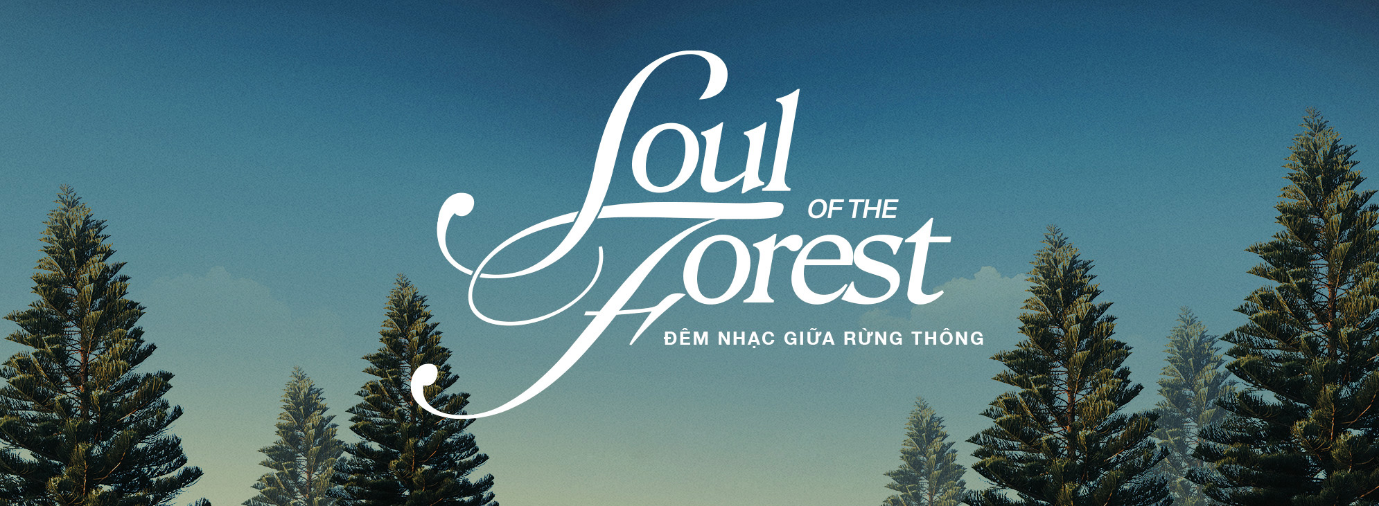 doc-dao-dem-nhac-giua-rung-thong-soul-of-the-forest-cua-flamingo-dai-lai