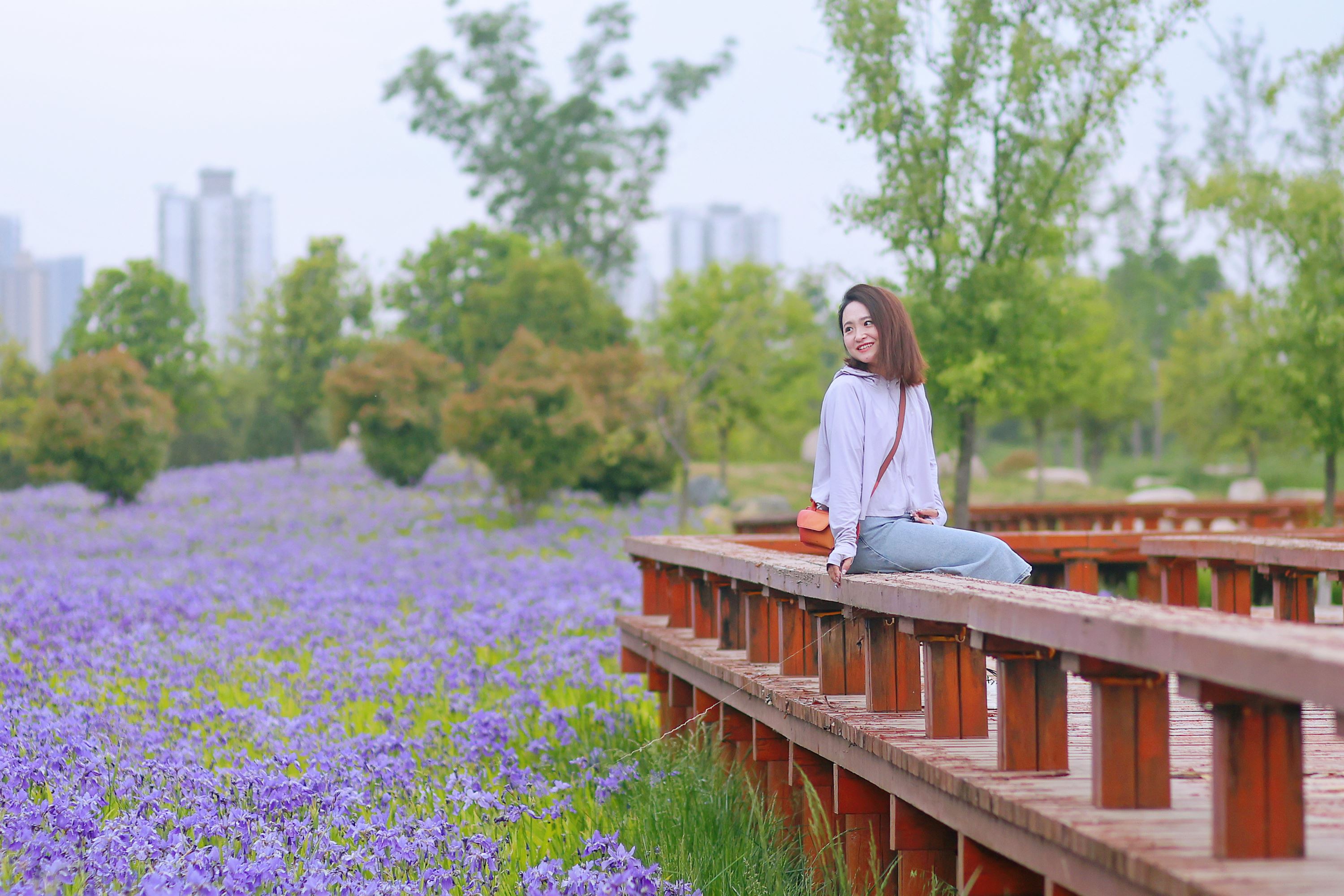 Du lịch Tây An, Trung Quốc 05