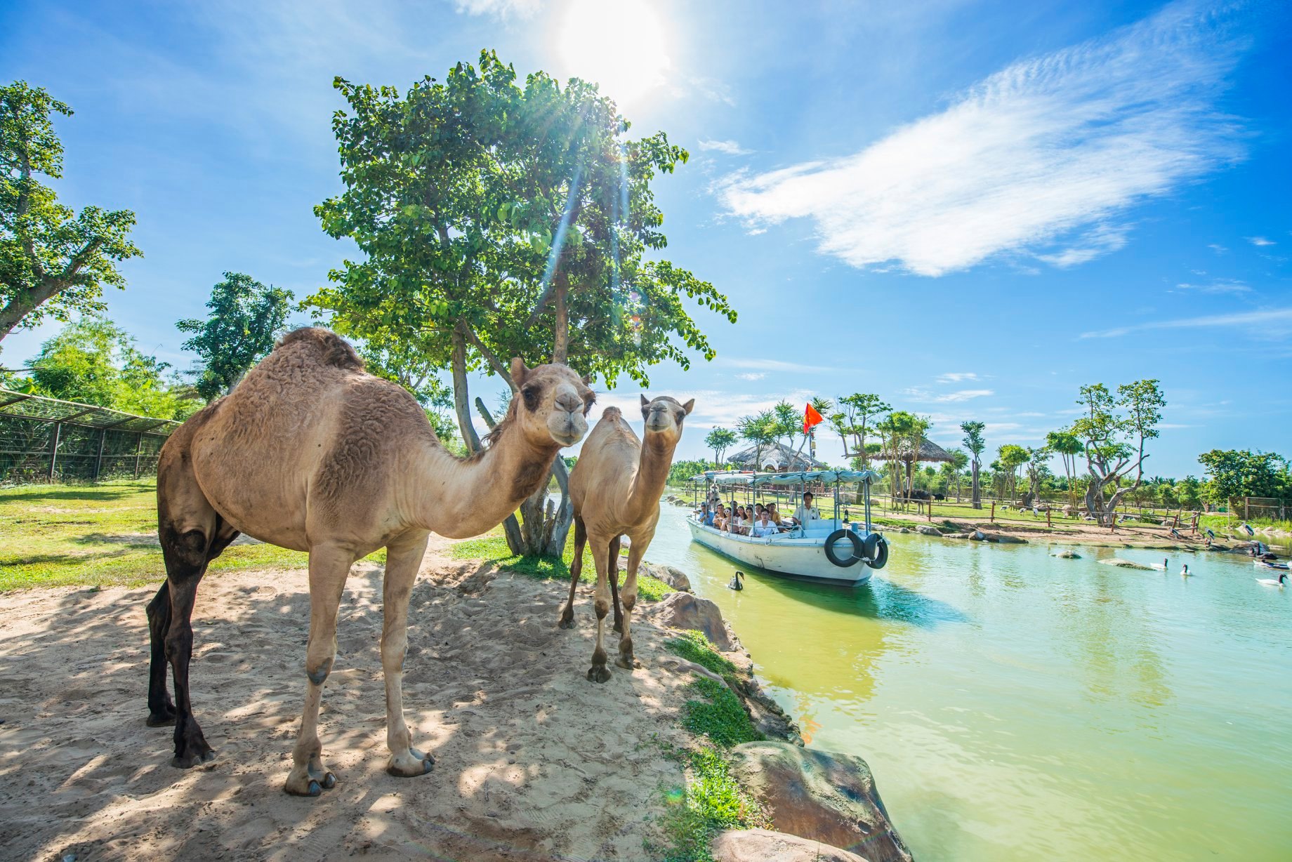 River Safari Nam Hội An 04