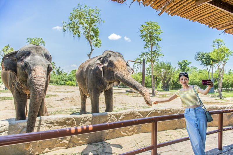 River Safari Nam Hội An 10