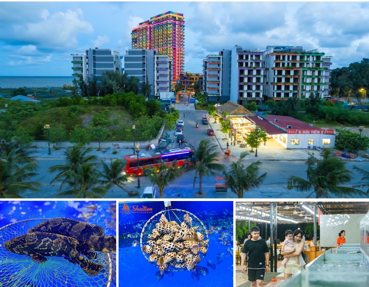 ăn uống ở flamingo hải tiến