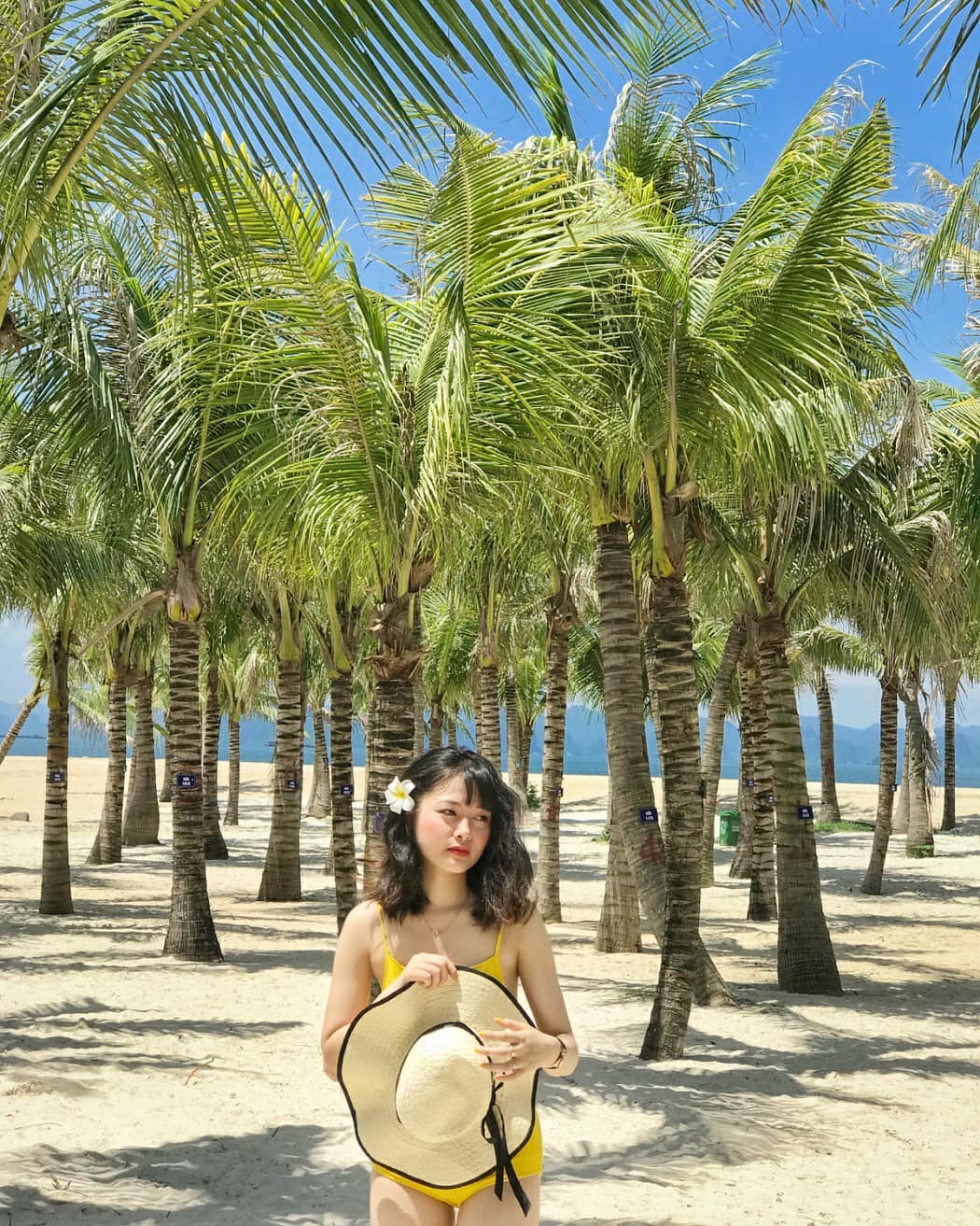 Top bãi biển đẹp ở miền Bắc