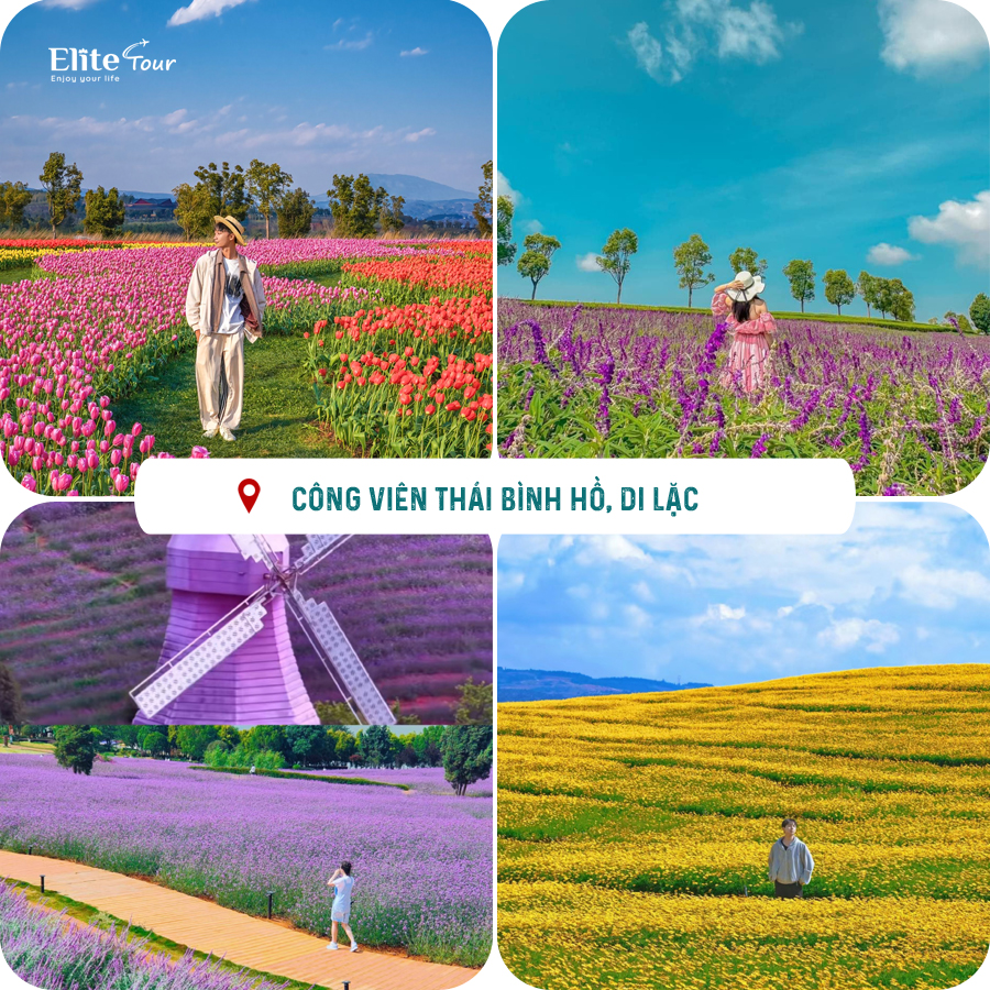 Công viên hồ Thái Bình, Di Lặc, Trung Quốc