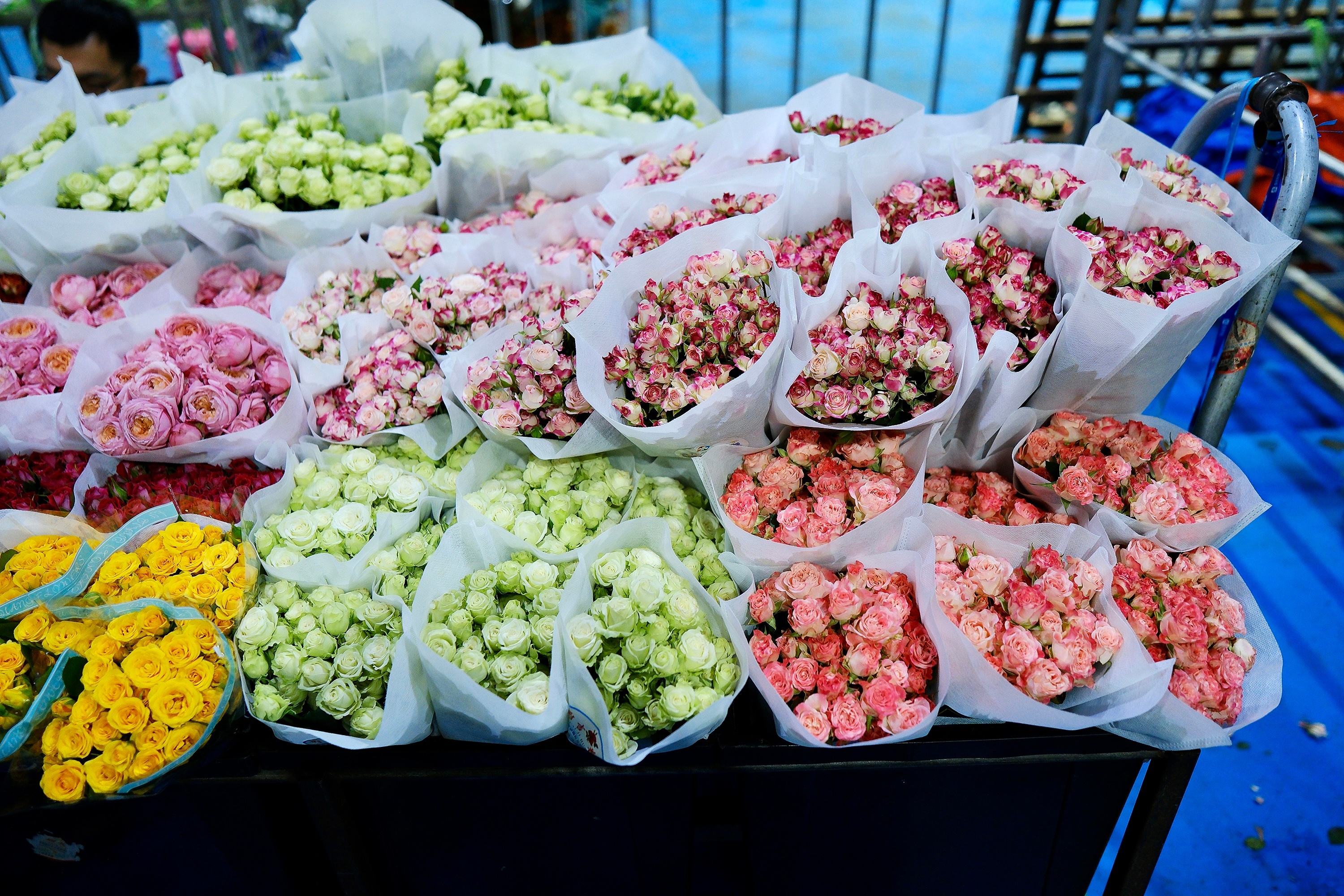 Chợ hoa Đấu Nam, Côn Minh, Trung Quốc
