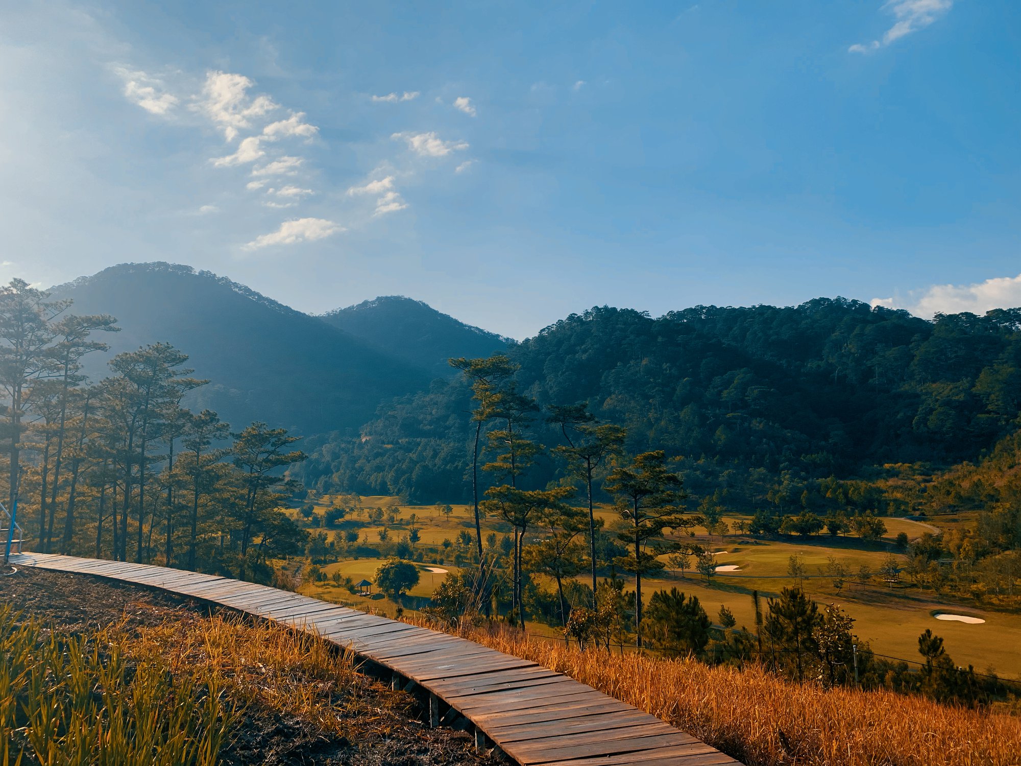 The Wilder-nest - Homestay Đà Lạt view đẹp