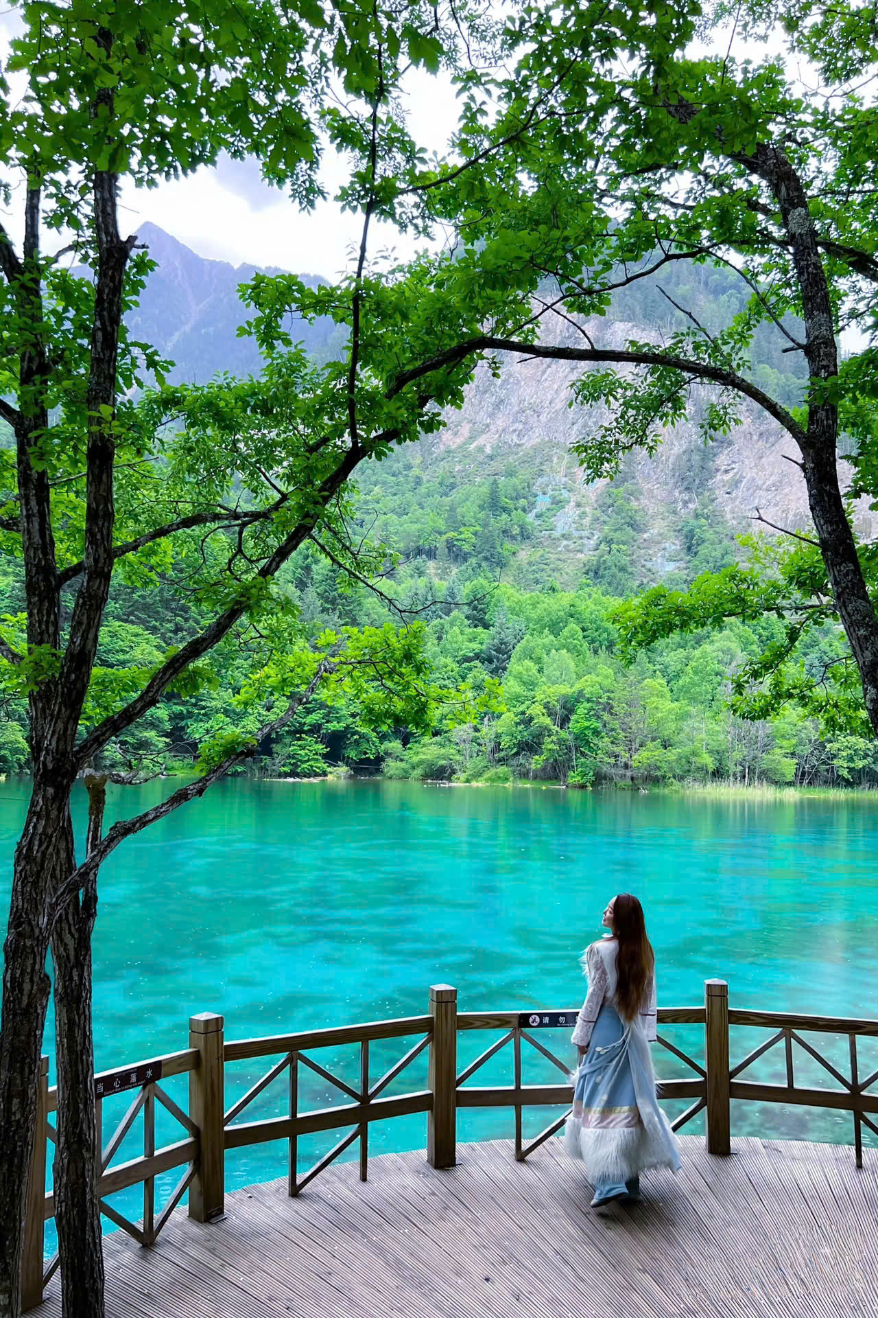 Địa điểm du lịch Cửu Trại Câu nổi tiếng 01