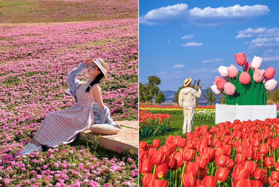 check-in-bien-hoa-dep-ngat-ngay-o-cong-vien-ho-thai-binh-di-lac