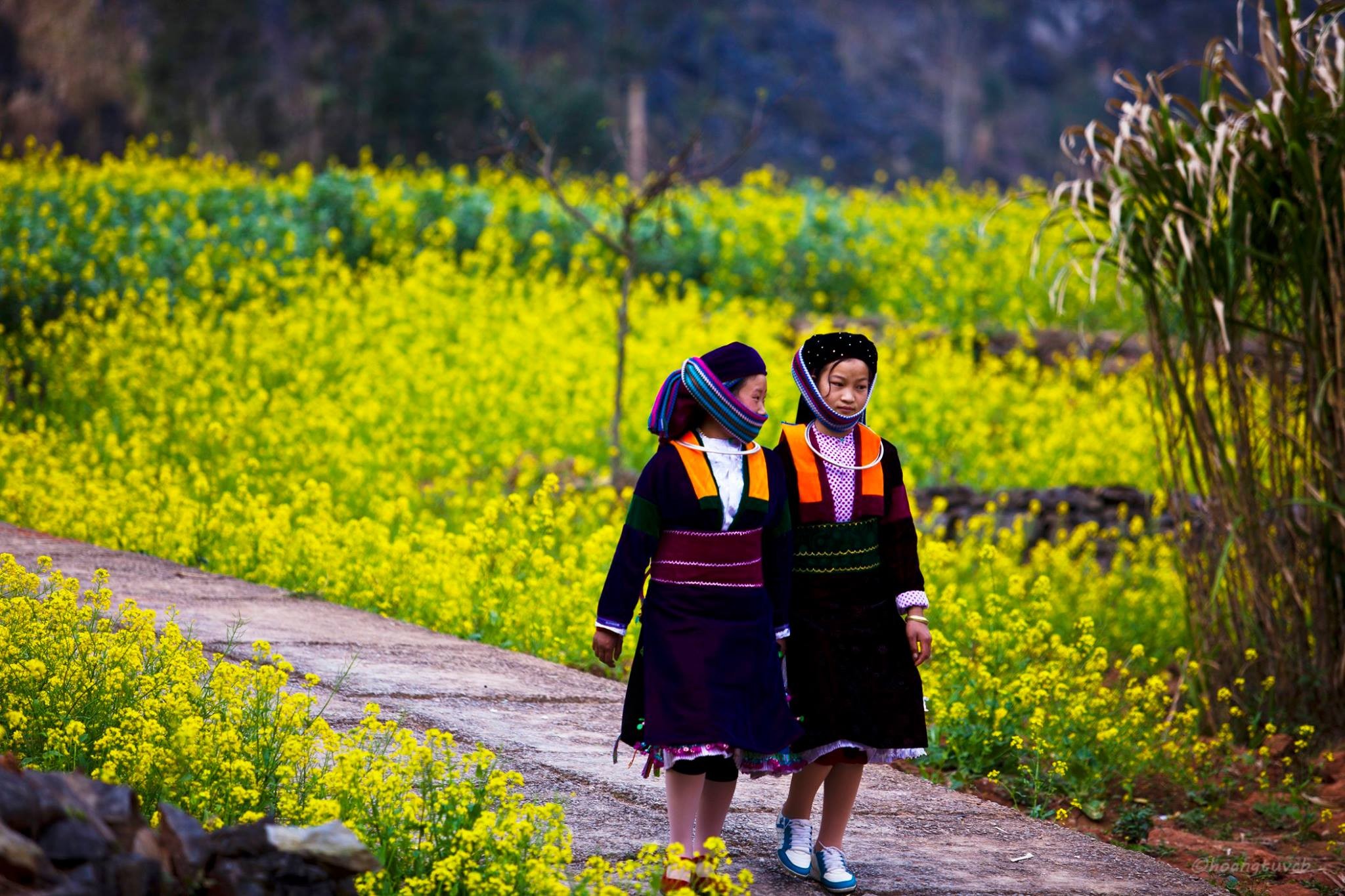 Địa điểm du lịch tại Lô Lô Chải