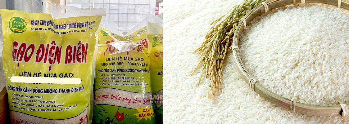 Gạo Điện Biên - Đặc sản Điện Biên mùa về làm quà