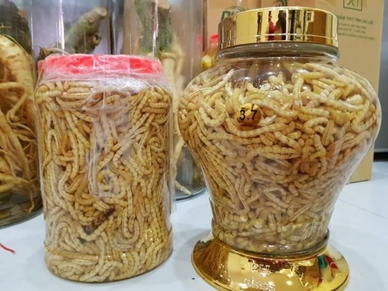 Rượu sâu chít - Đặc sản Điện Biên mua về làm quà