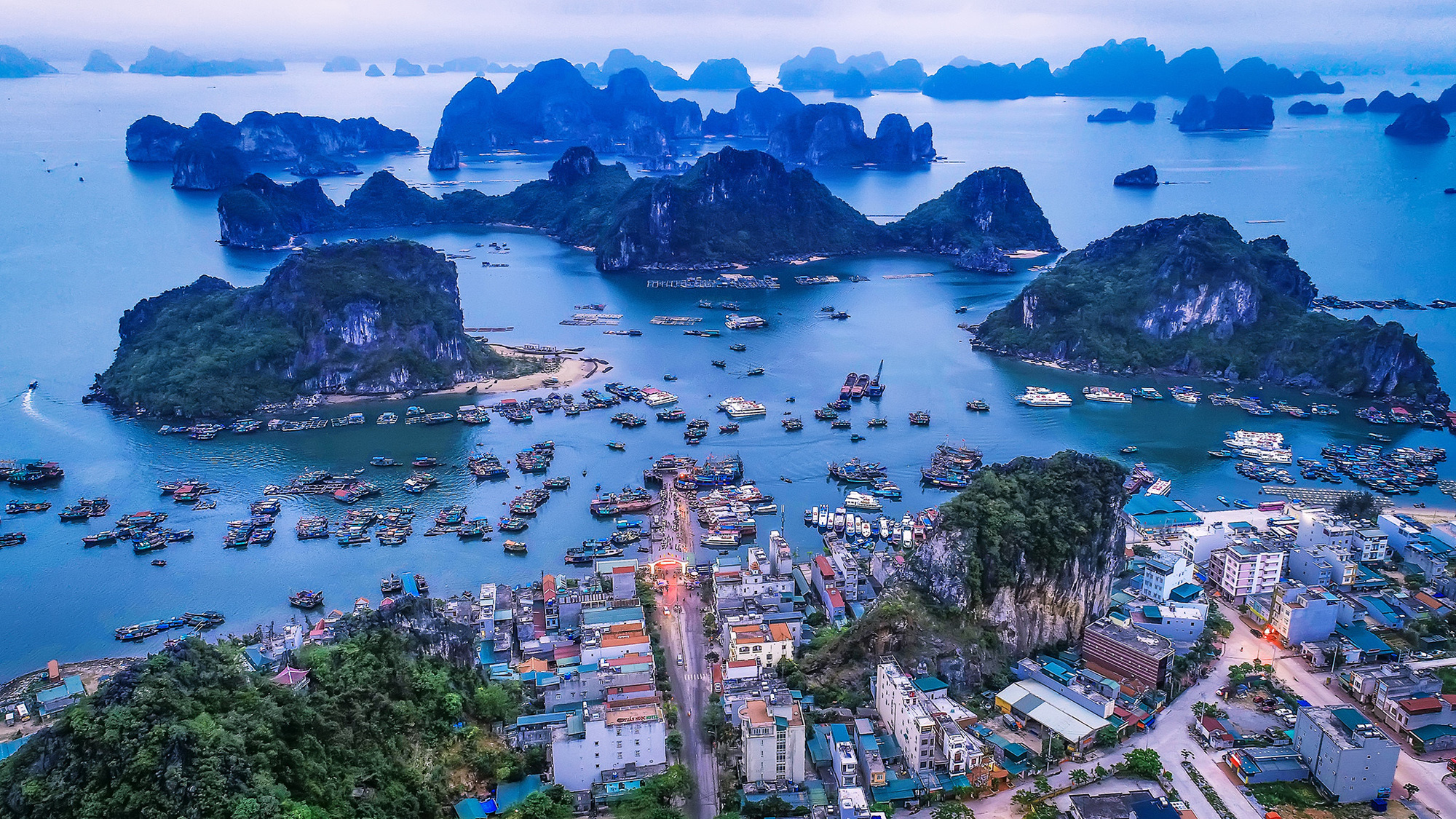 Di chuyển đến Vân Đồn