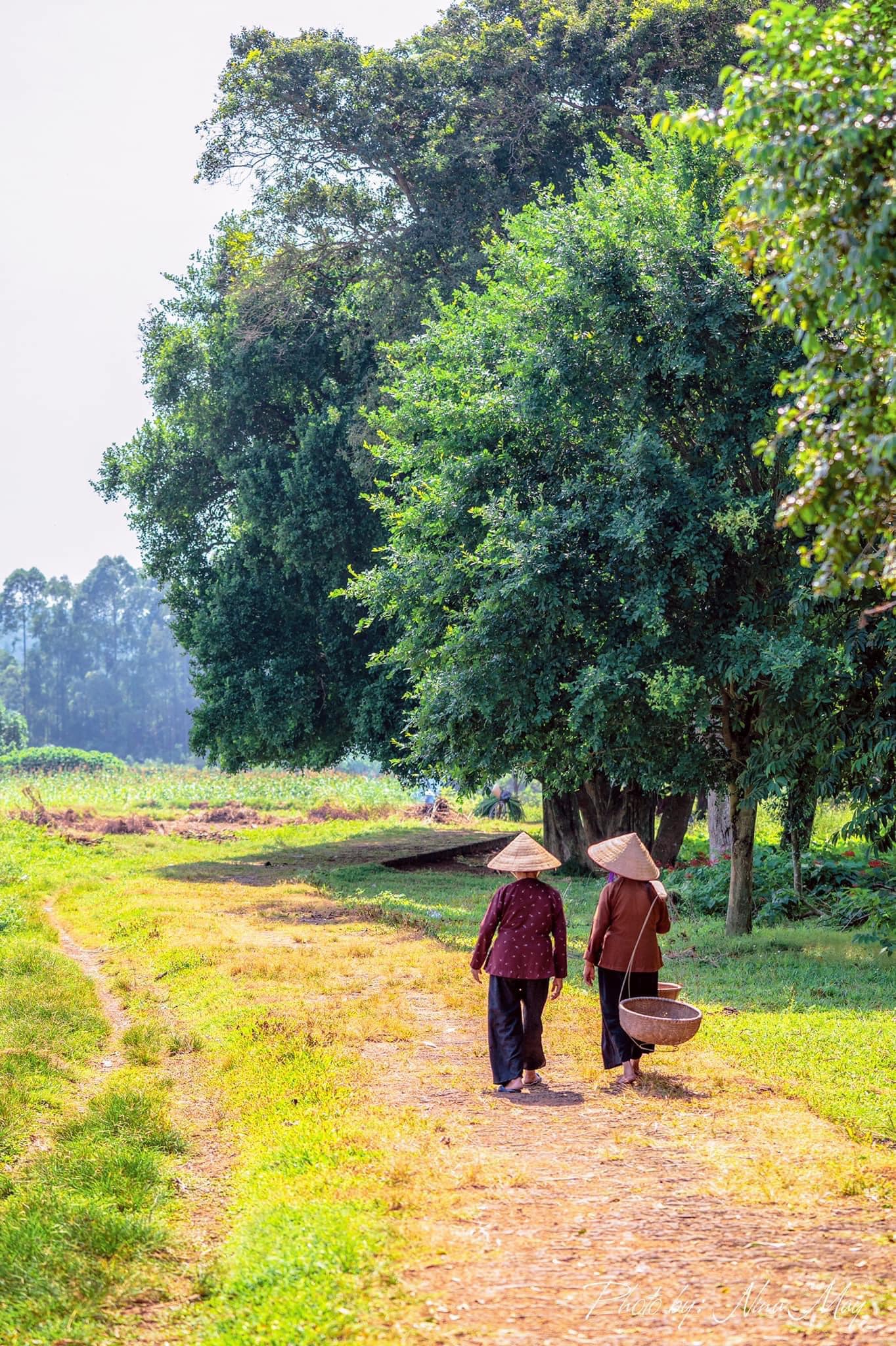 đường lâm Hà Nội