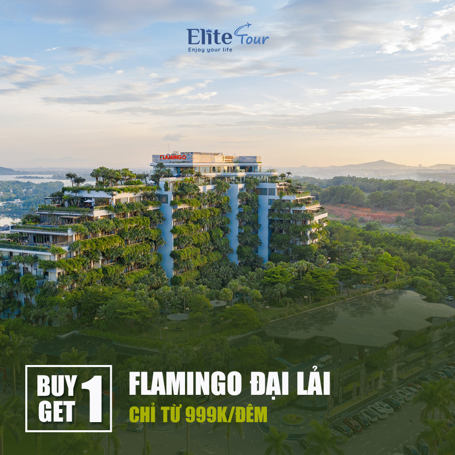 Ưu đãi Flamingo Đại Lải