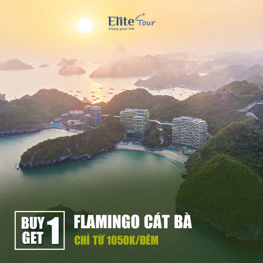 Ưu đãi Flamingo Cát Bà