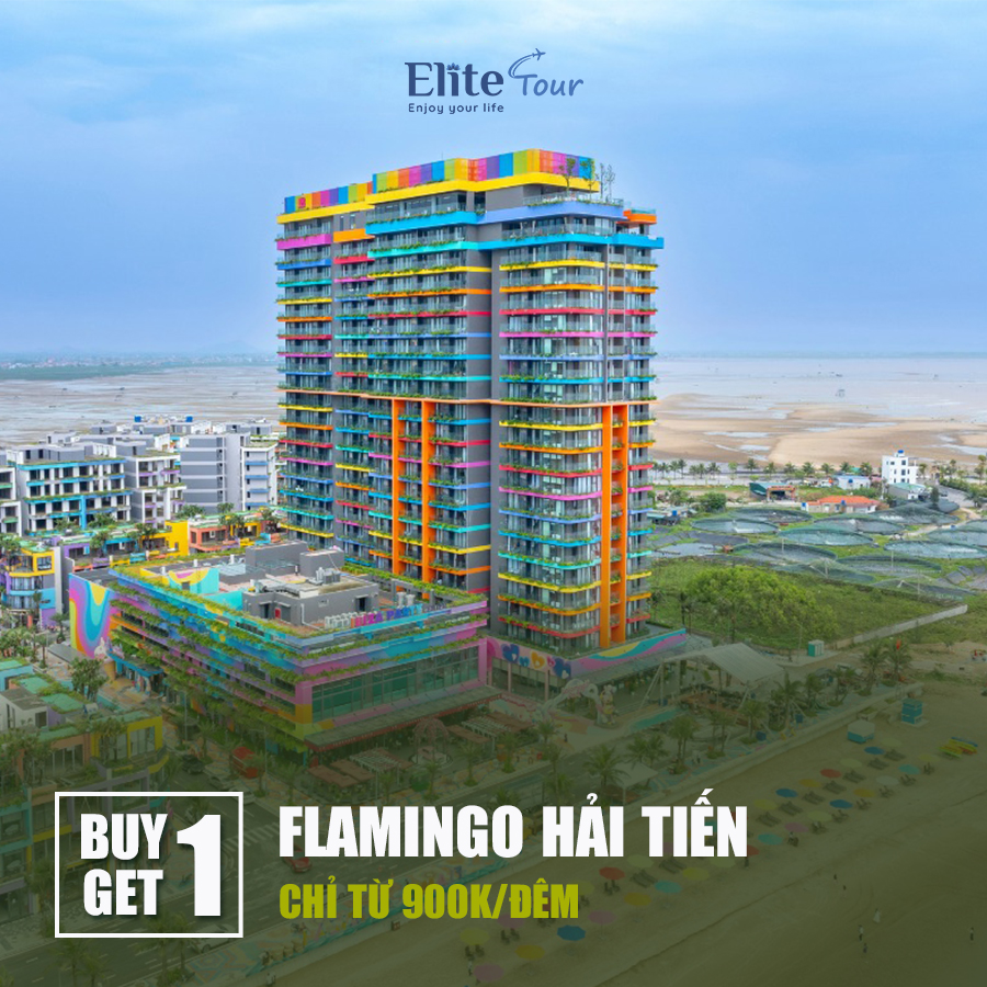 Ưu đãi Flamingo Hải Tiến