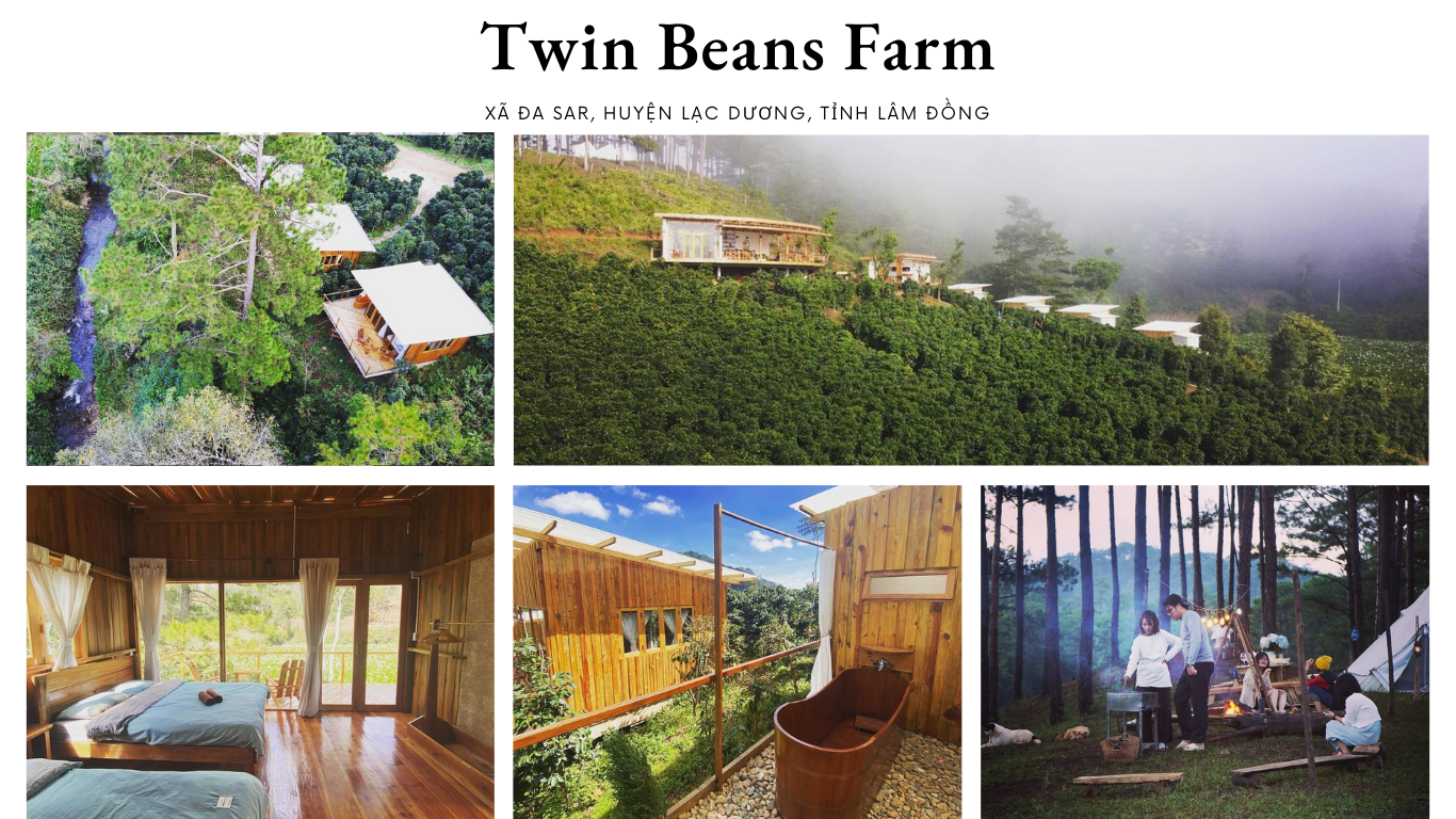 Twin Beans Farm - địa điểm Glamping ở phía Nam