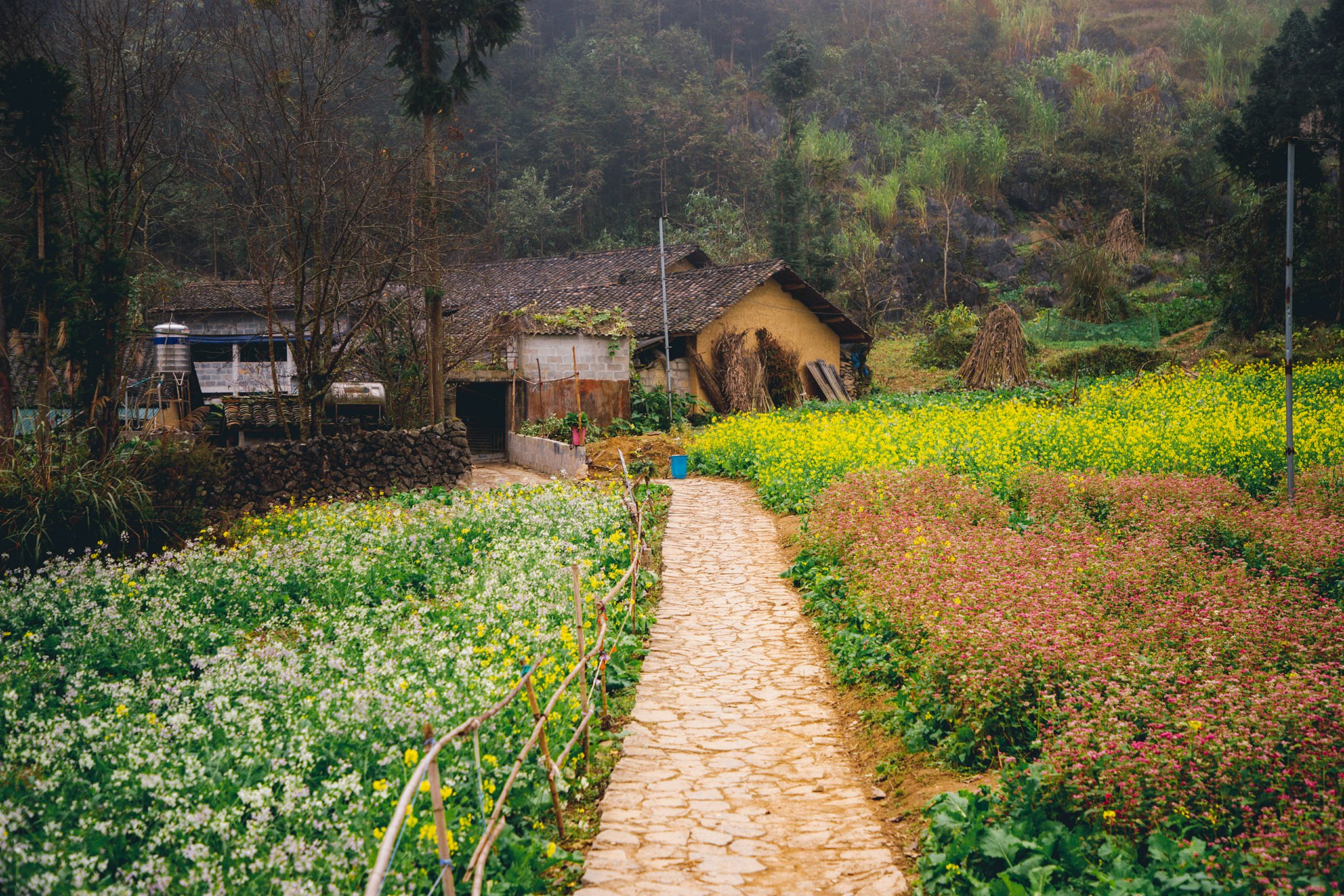 Du lịch Hà Giang mùa xuân