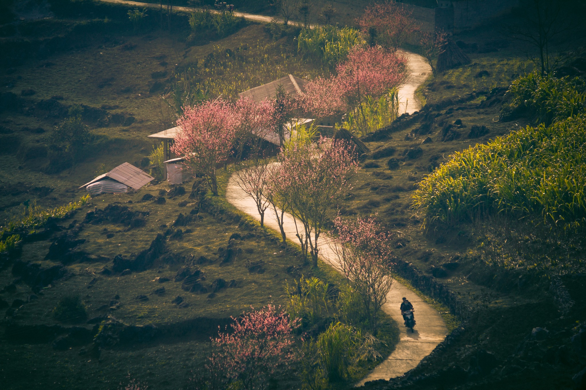 Du lịch Hà Giang tháng 1 có gì