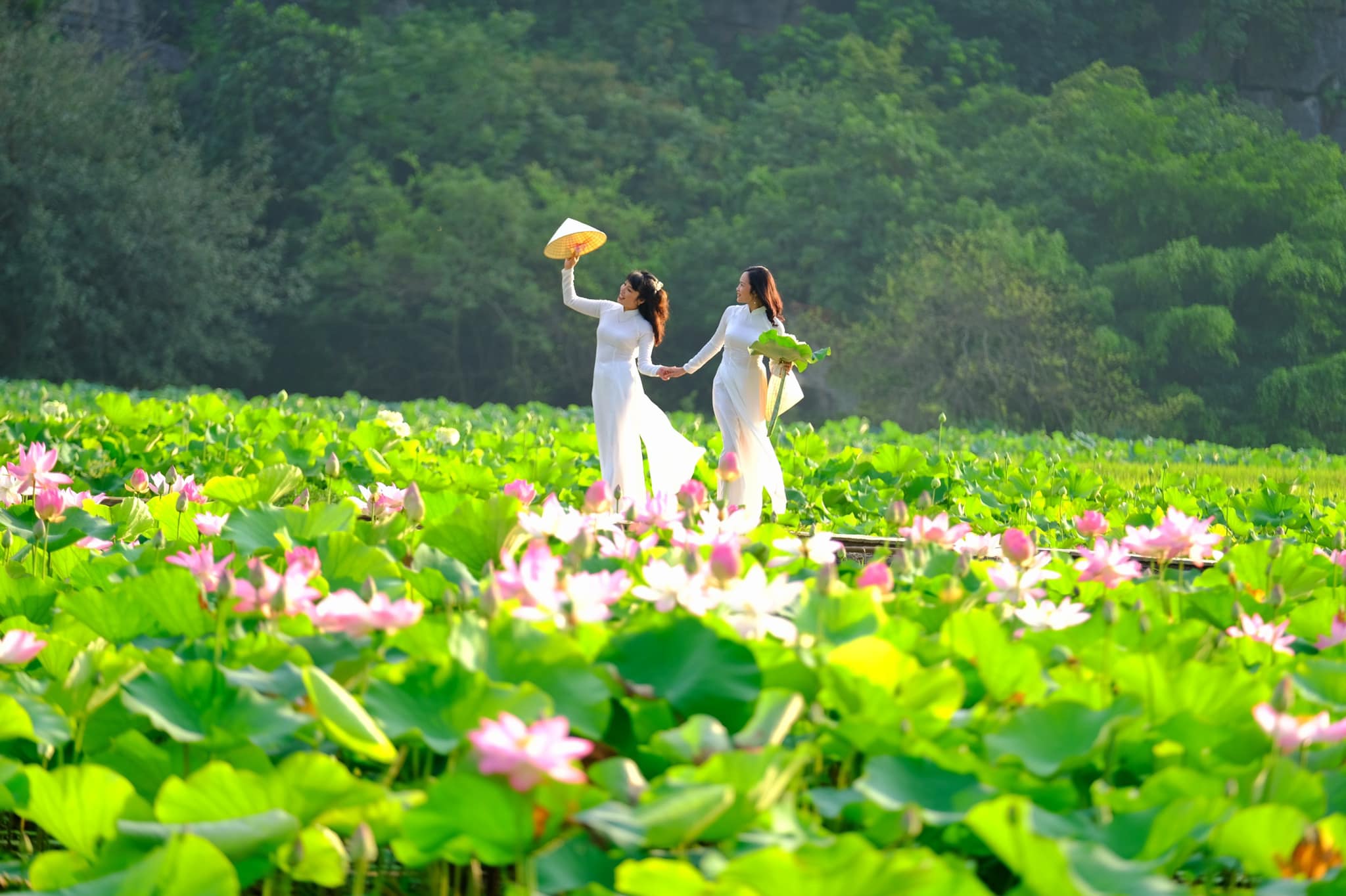 top-nhung-diem-tham-quan-noi-tieng-tai-ninh-binh-hut-khach-du-lich