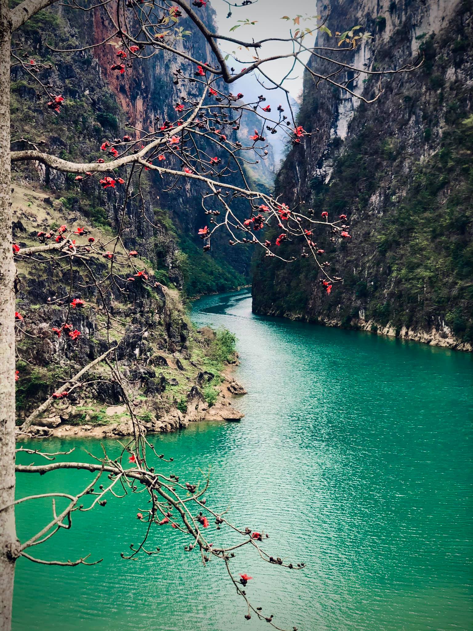 hẻm tu sản