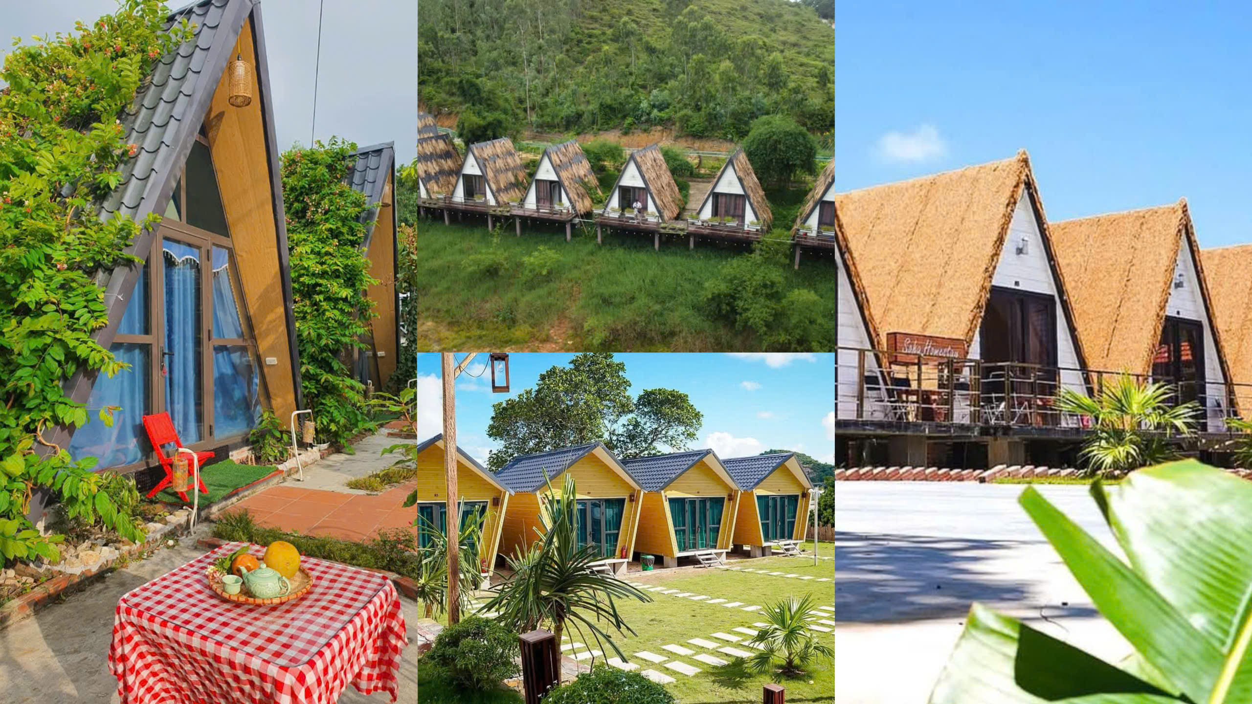 top-7-homestay-dao-quan-lan-thich-hop-chill-chill