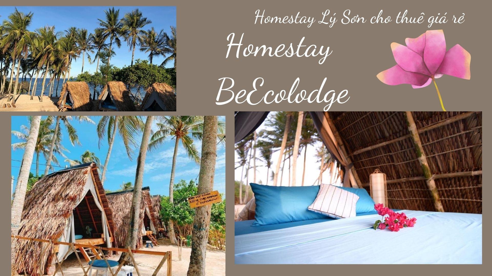 BeEcolodge Homestay Lý Sơn