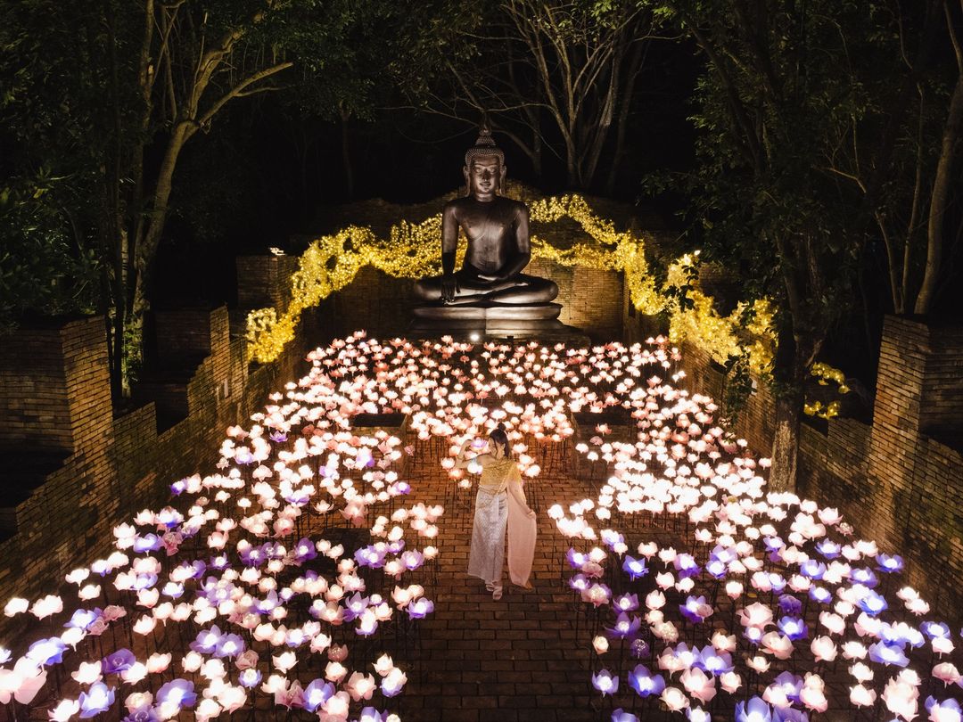 Lễ hội ánh sáng Nastta Light Festival 2024 4