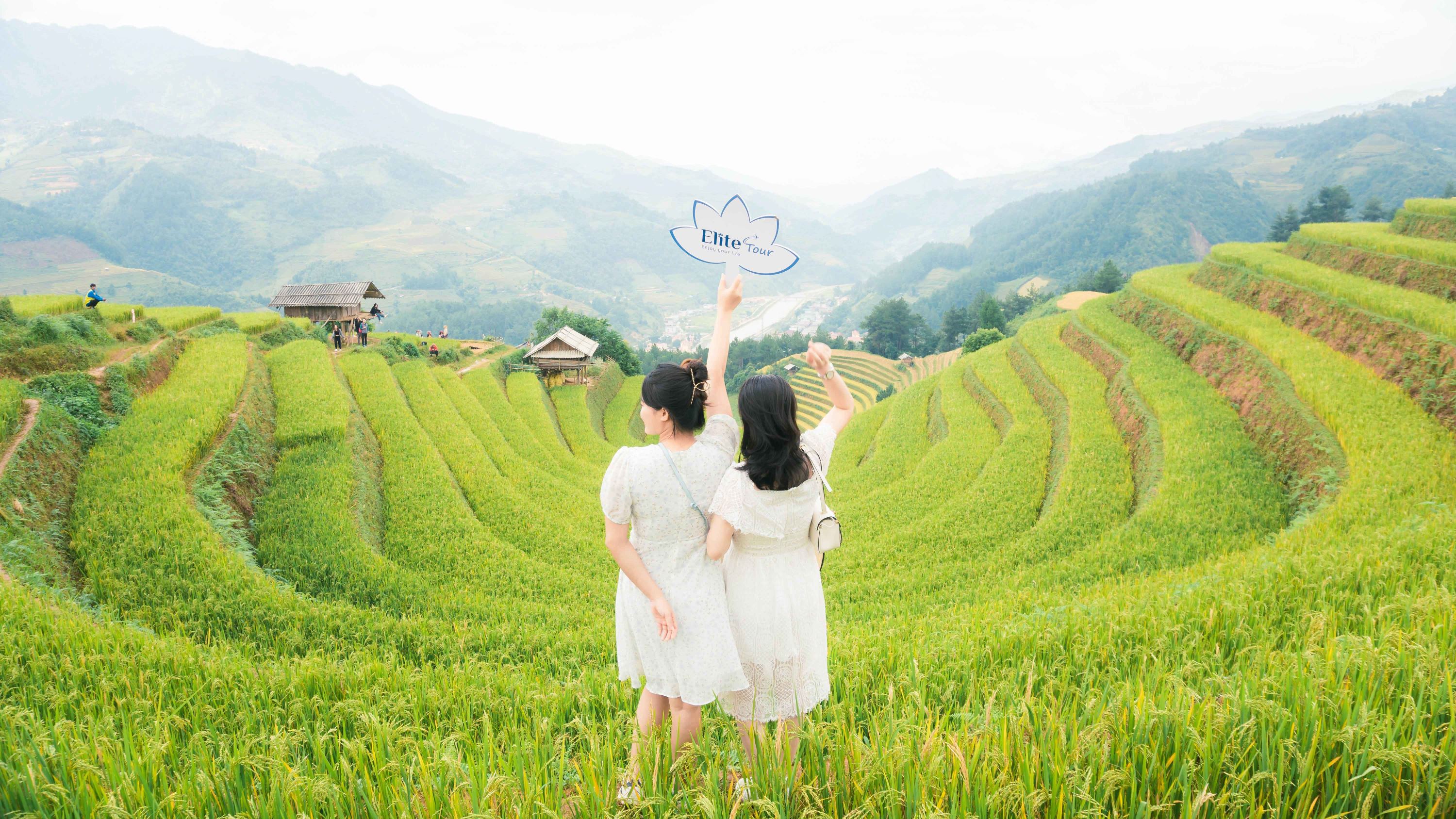 mong ngua mu cang chai