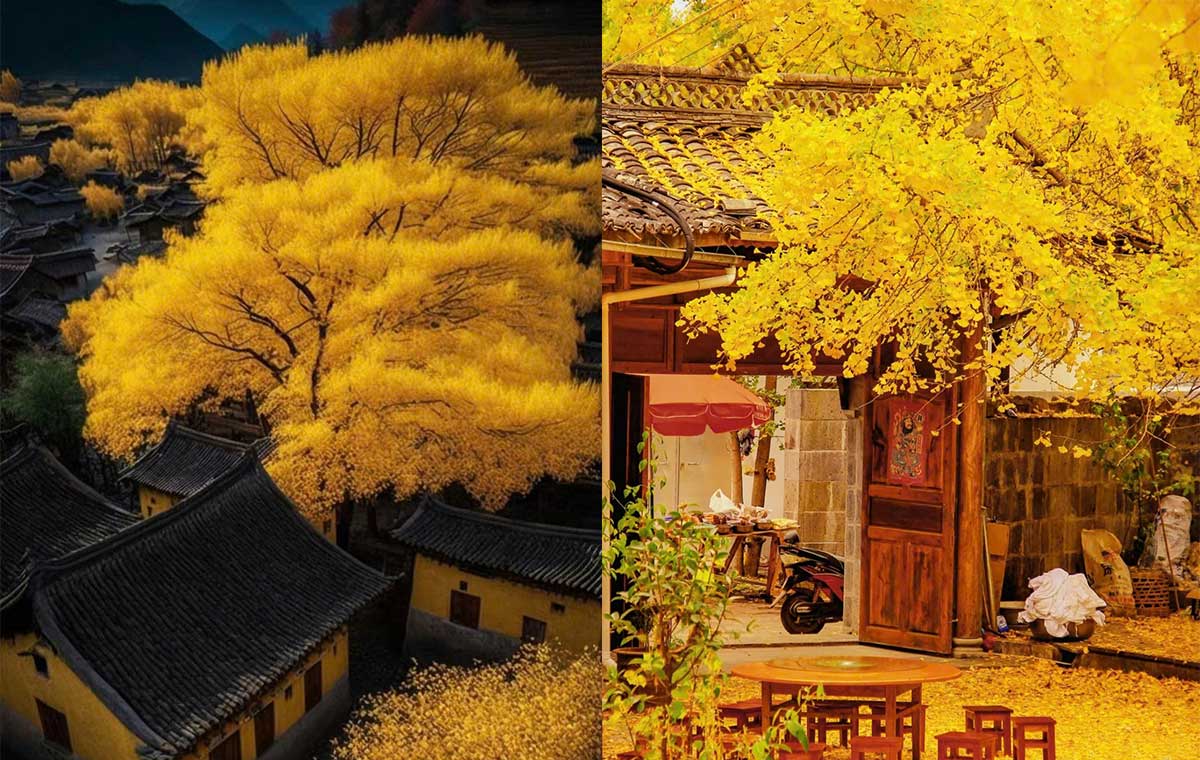 Du lịch Trung Quốc mùa thu đi đâu