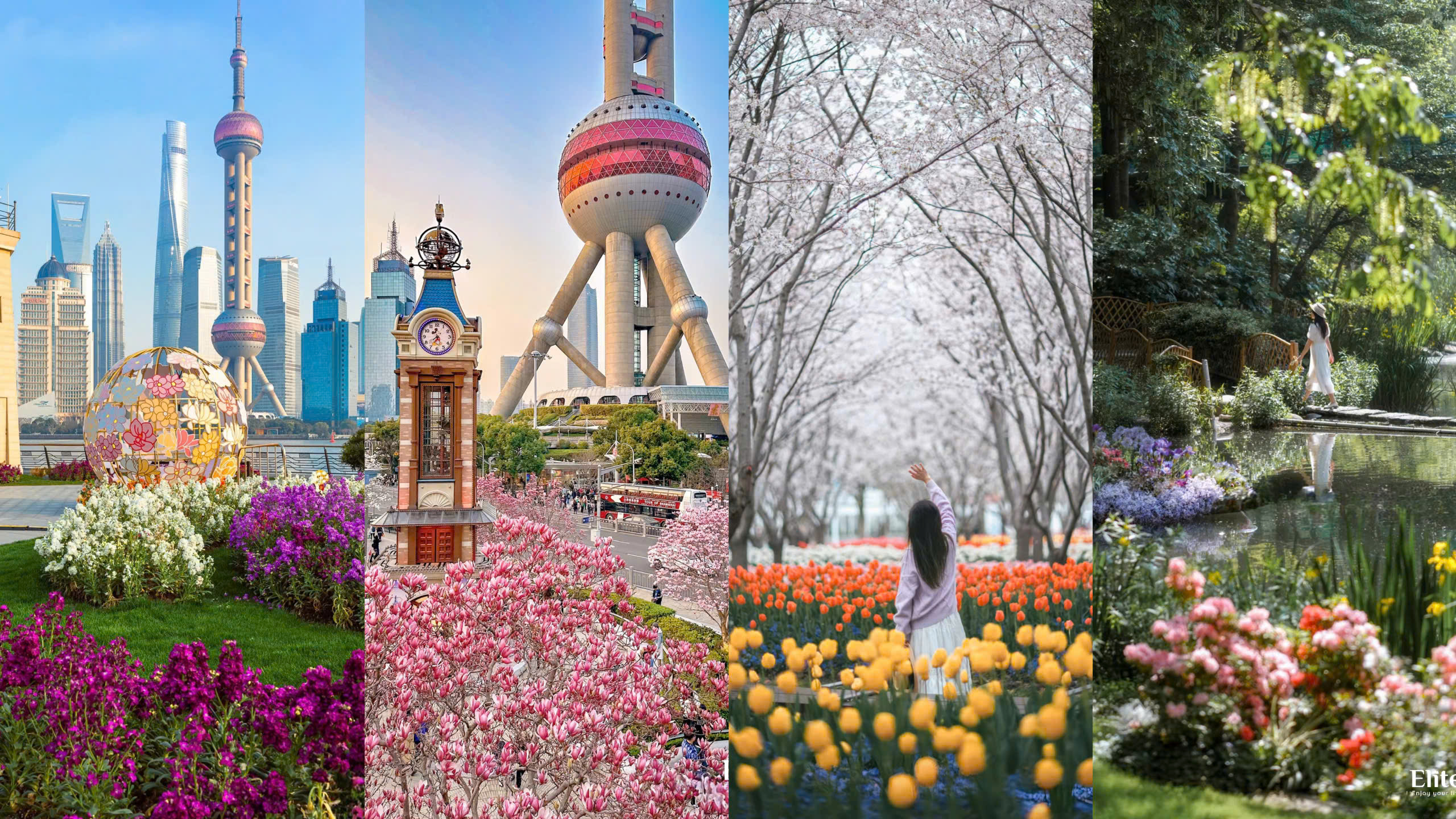 nhung-diem-tham-quan-dep-nhat-thuong-hai-mua-xuan