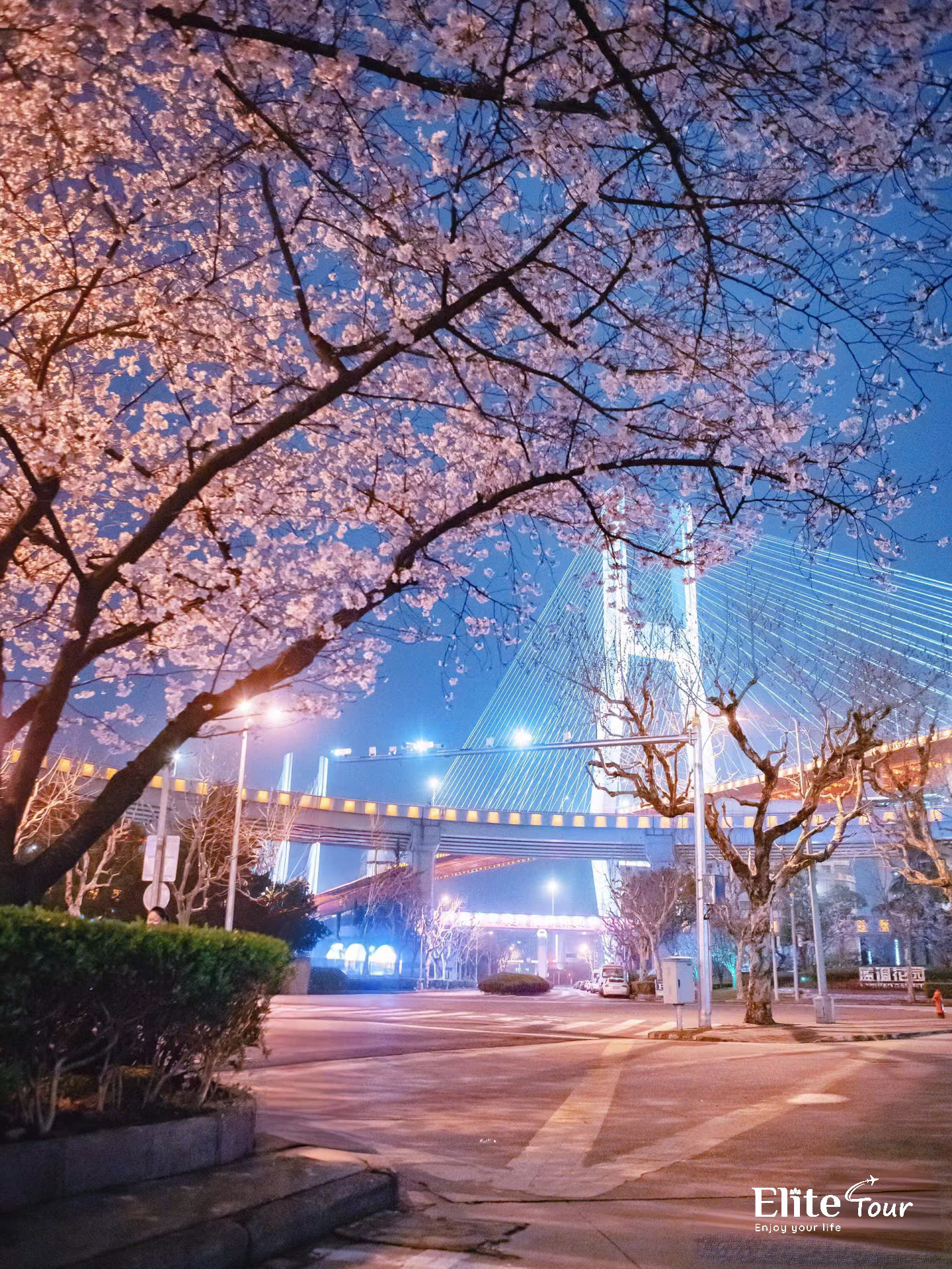 Du lịch Thượng Hải mùa xuân đi chơi ở đâu? 03