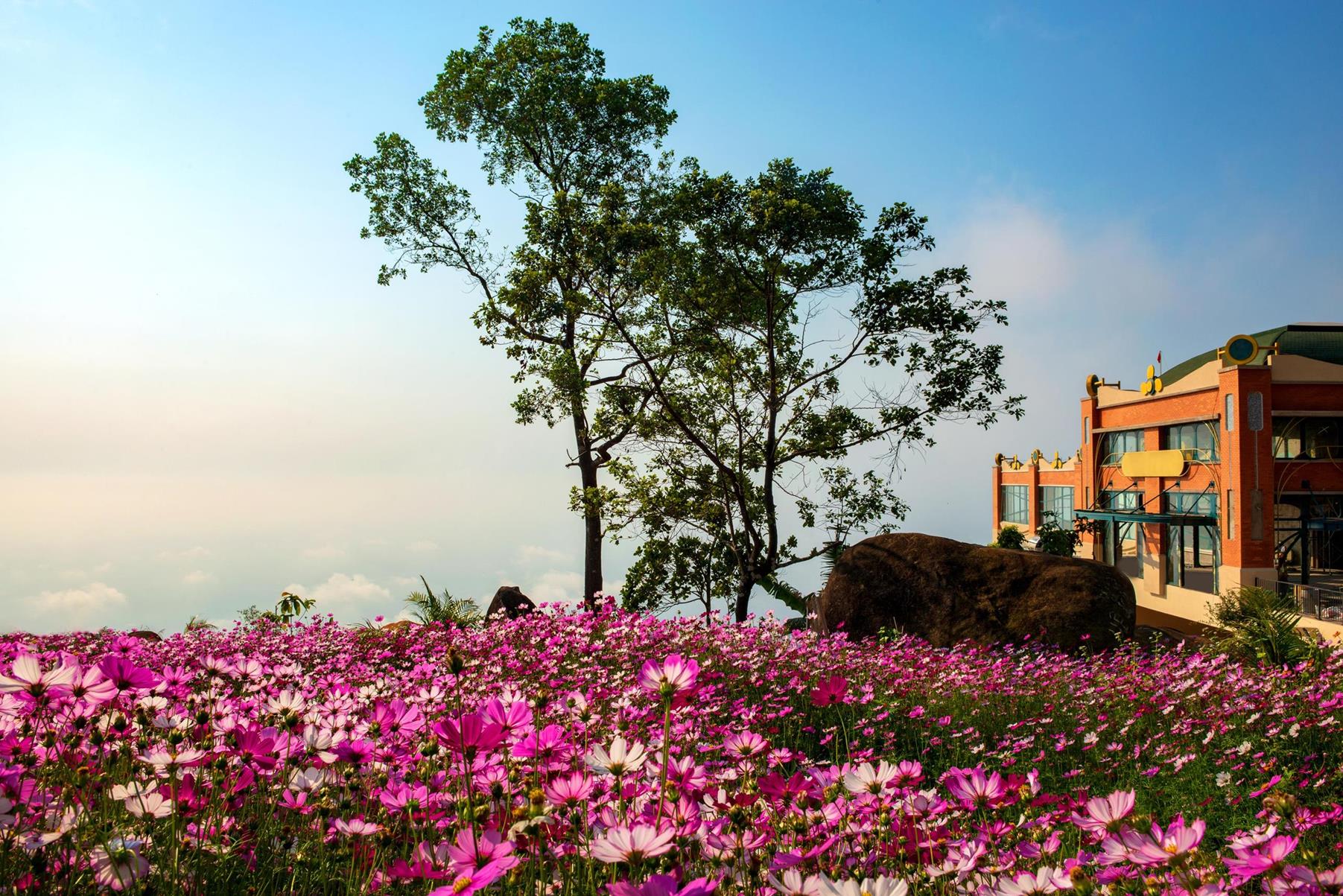 Kinh nghiệm du lịch Tây Ninh 01