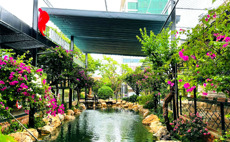 Minh Coffee - Cafe cá Koi Quảng Bình