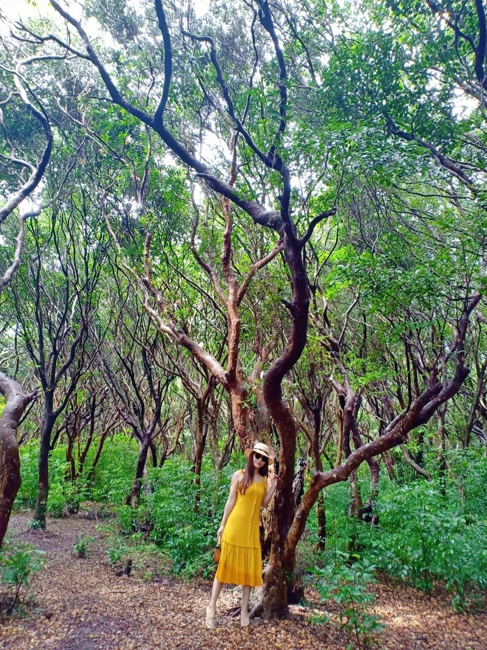 bãi biển Minh Châu Quan Lạn