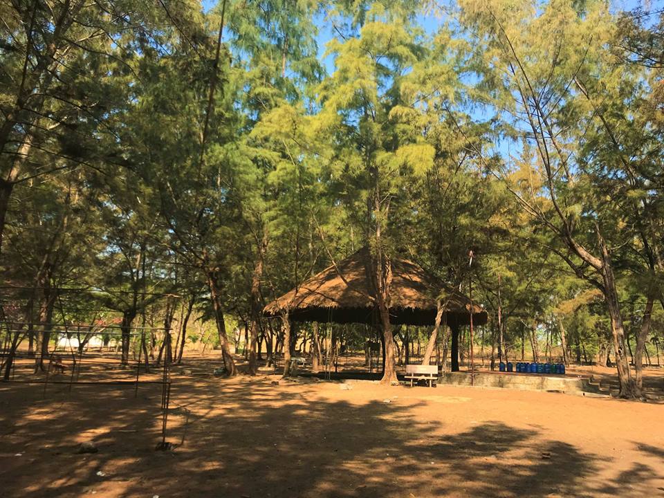 rừng dương paradise - địa điểm Glamping gần Sài Gòn