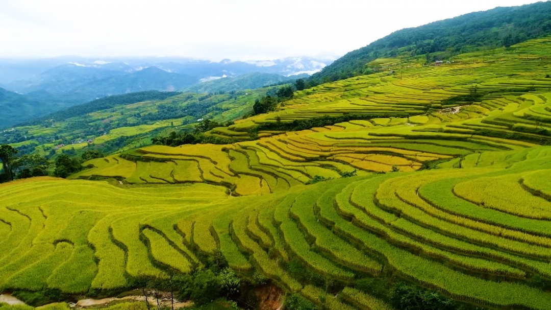 Ruộng bậc thang Hồng Thái, Tuyên Quang