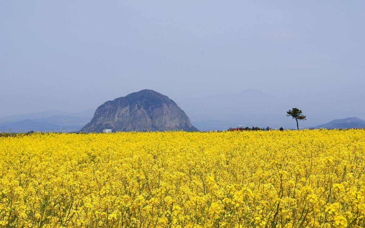 Địa điểm du lịch nổi tiếng trên đảo Jeju 01