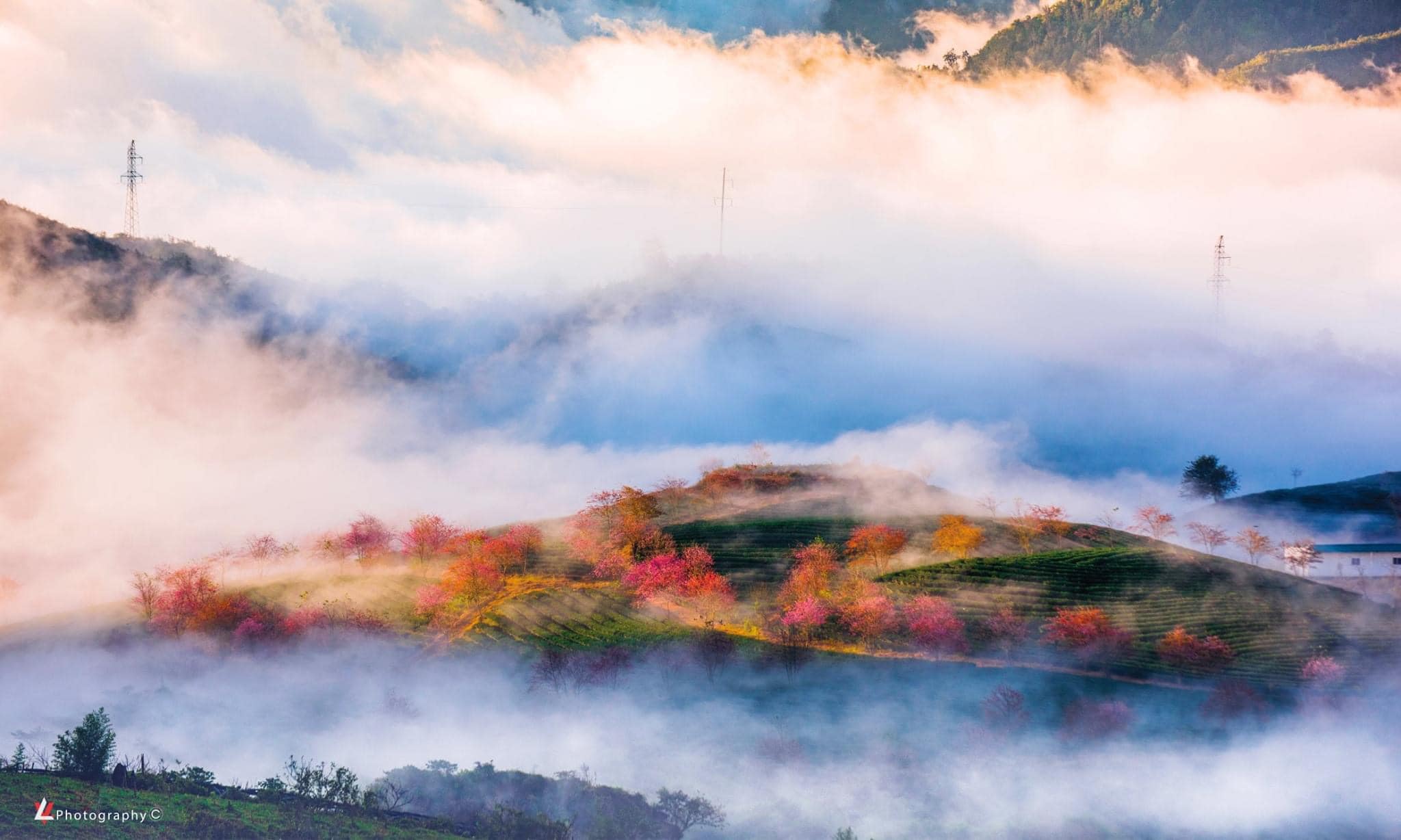 Tour Hà Giang – Sapa mùa hoa đào nở 02