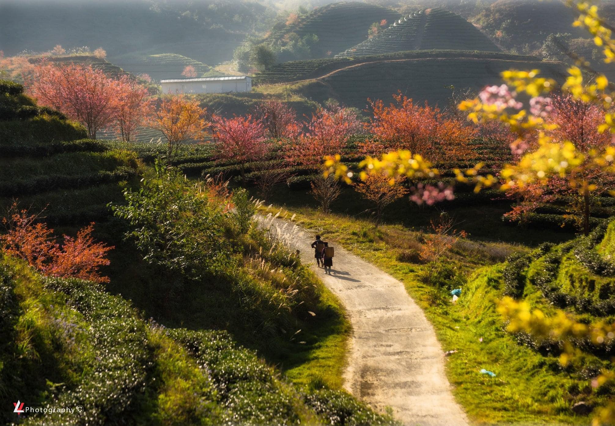 Tour Xuyên Việt