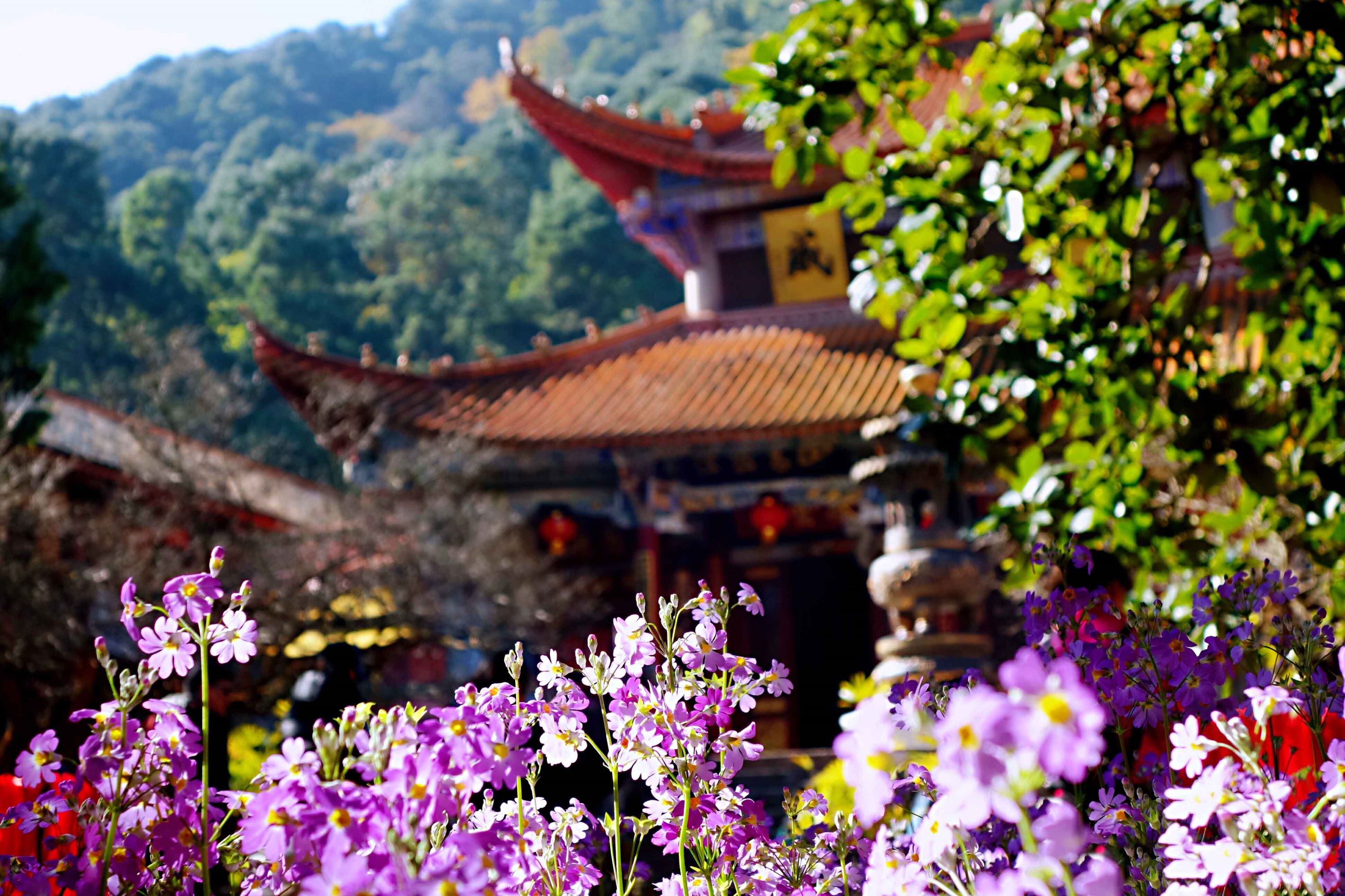 Cảnh đẹp Côn Minh, Trung Quốc