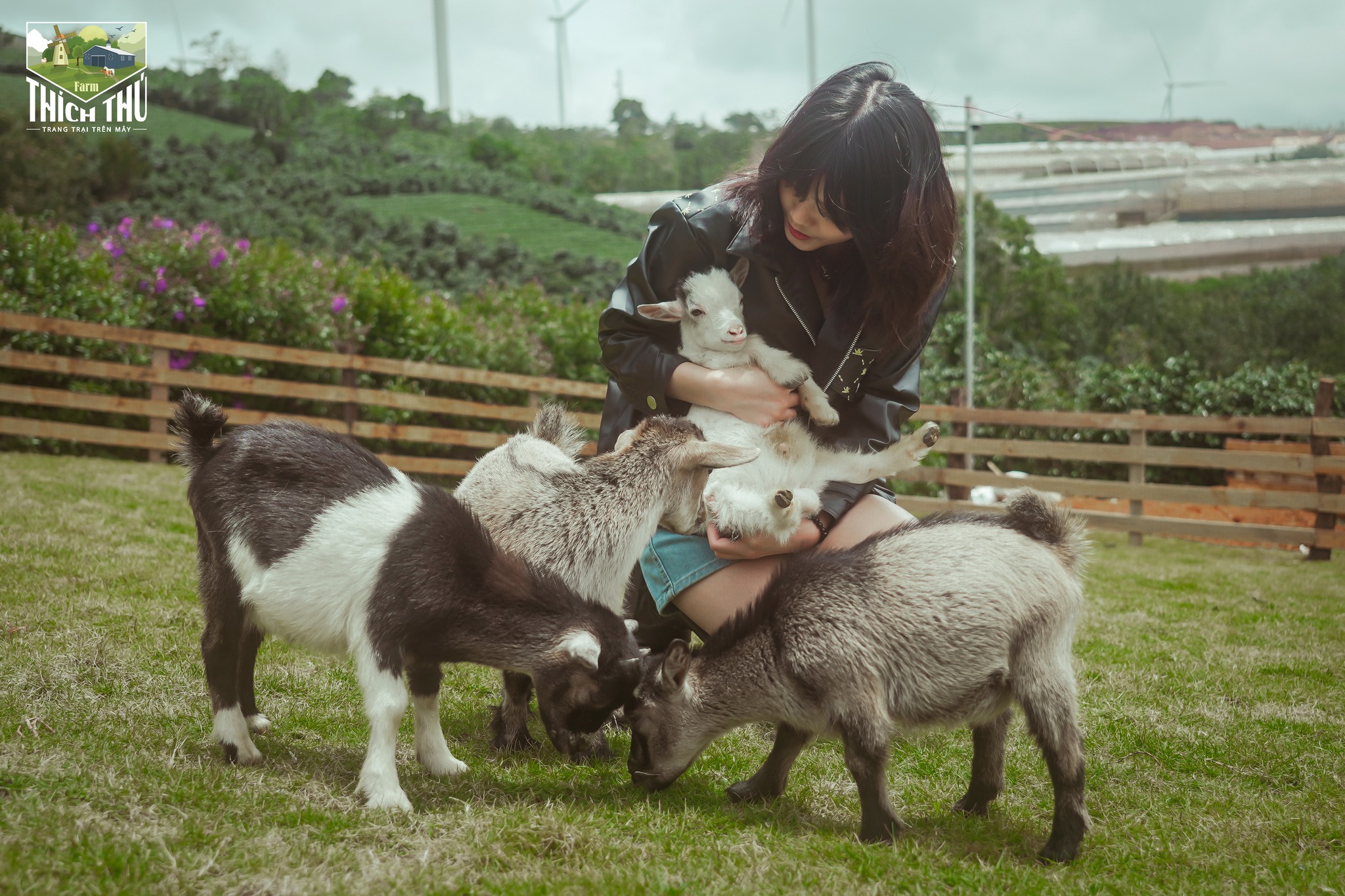 Thích Thú Farm Đà Lạt 01