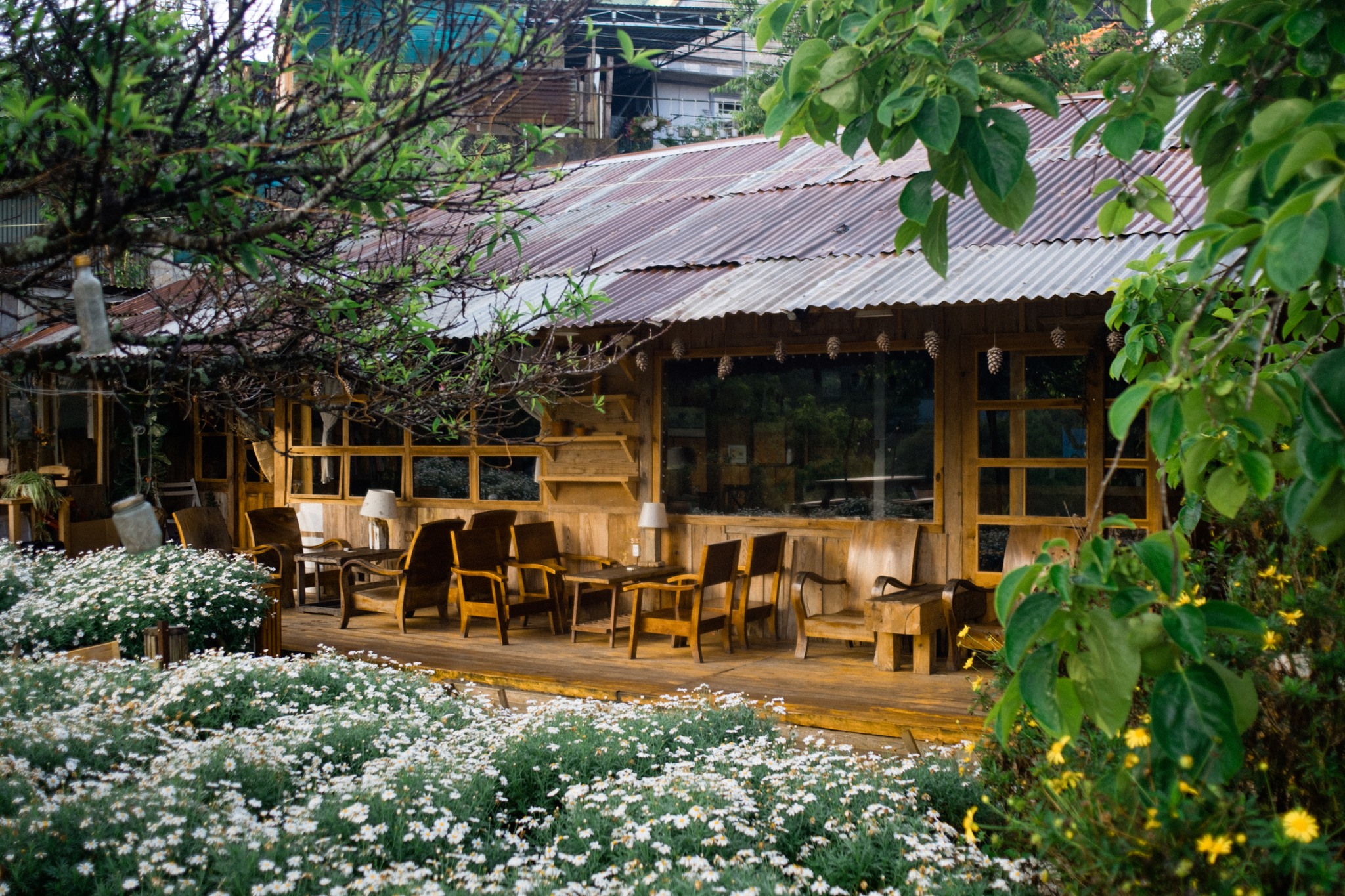 Tiệm cà phê Túi Mơ To - Quán Cafe view đẹp nhất Đà Lạt 01